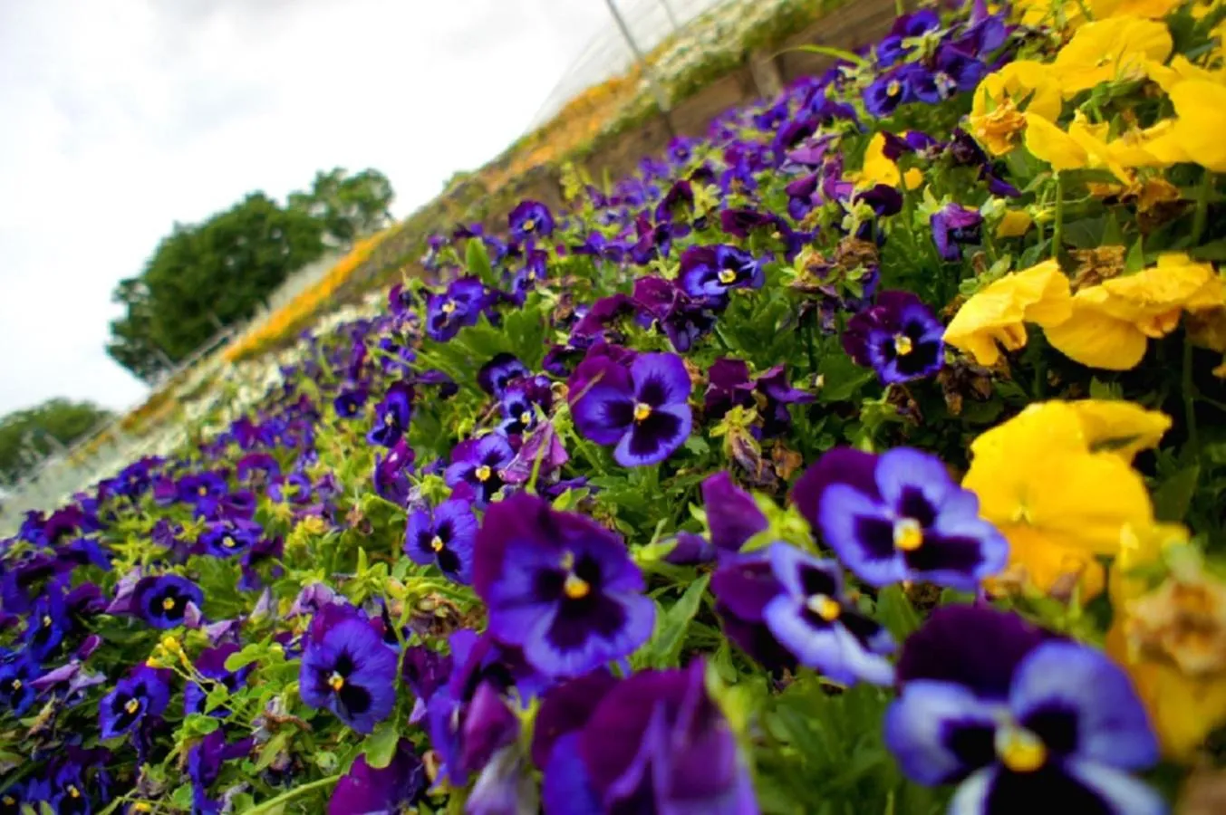 Nearby landmark in Hotel Free Style