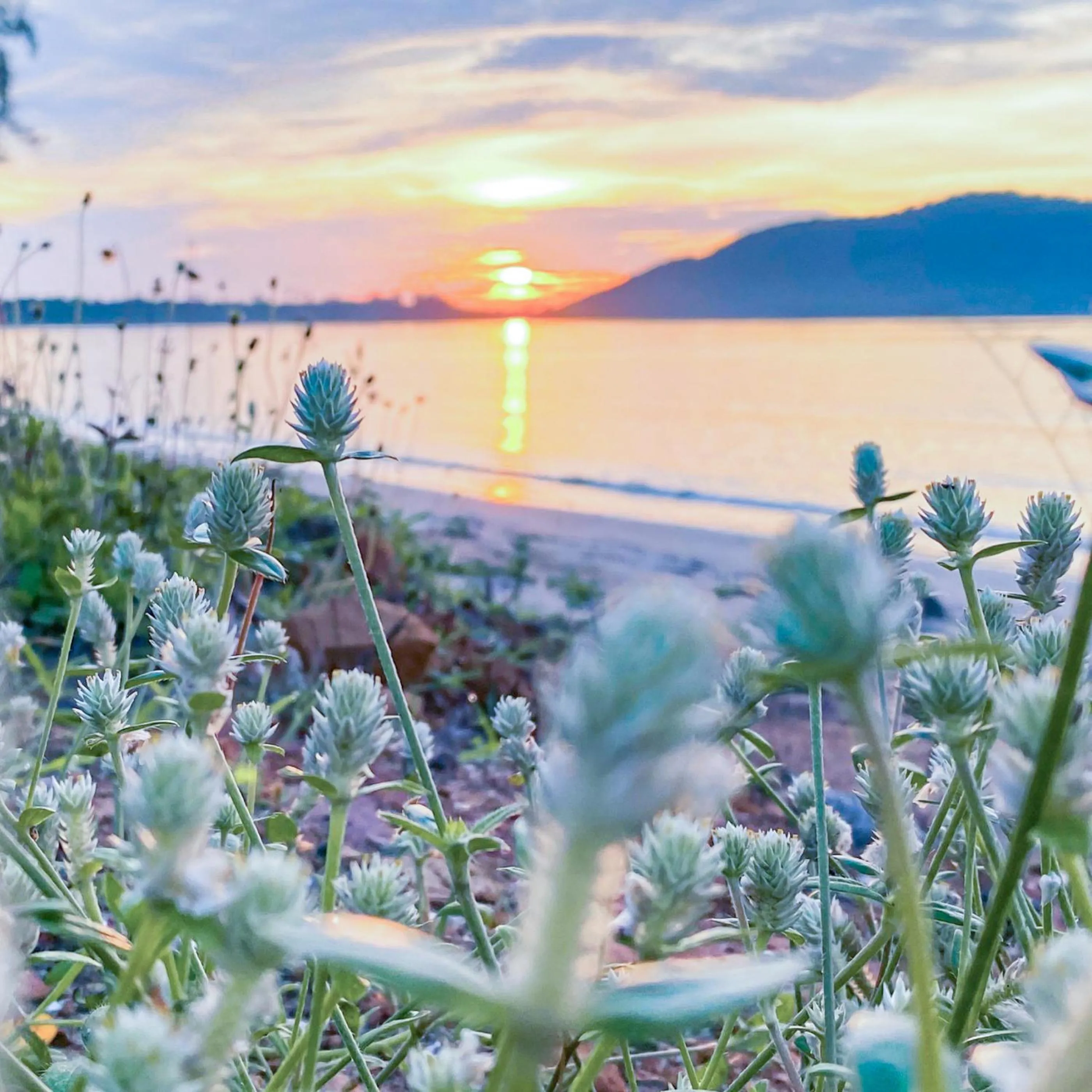 Beach in Bangsaphan Resort