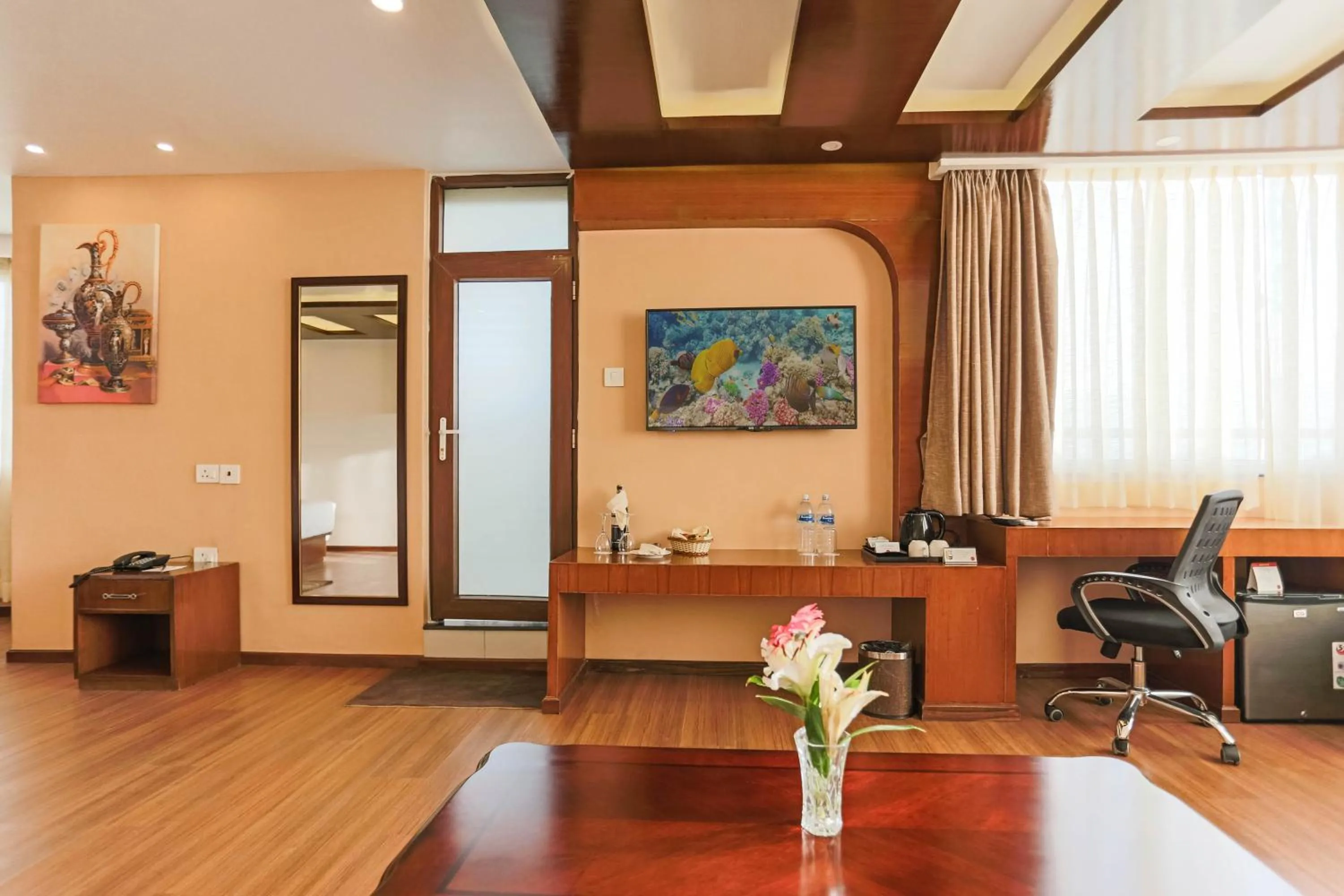 TV and multimedia in Hotel Buddy