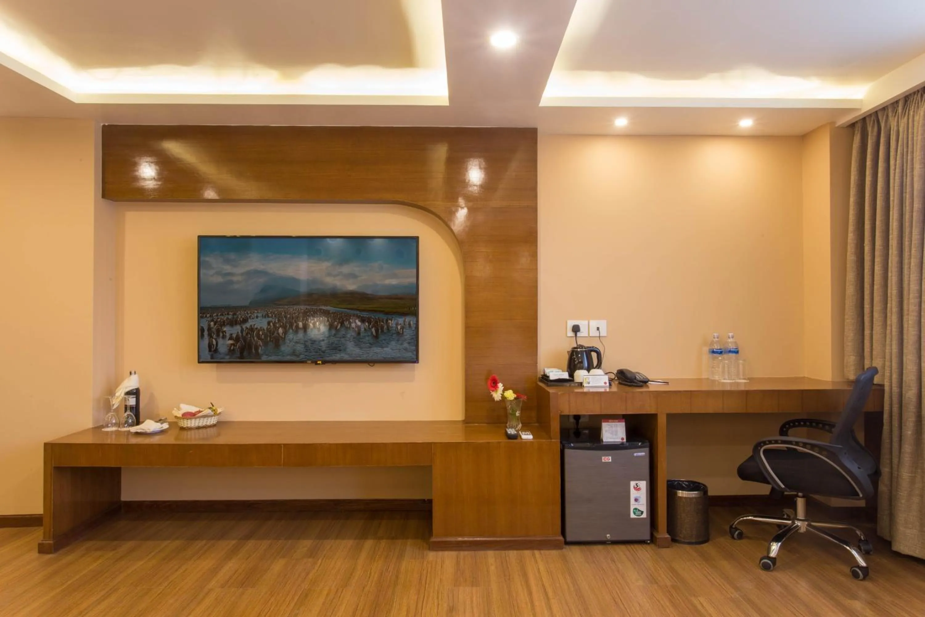 TV and multimedia in Hotel Buddy