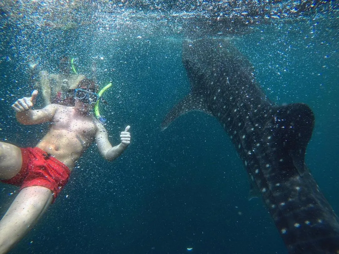 Diving in HIGALA Resort