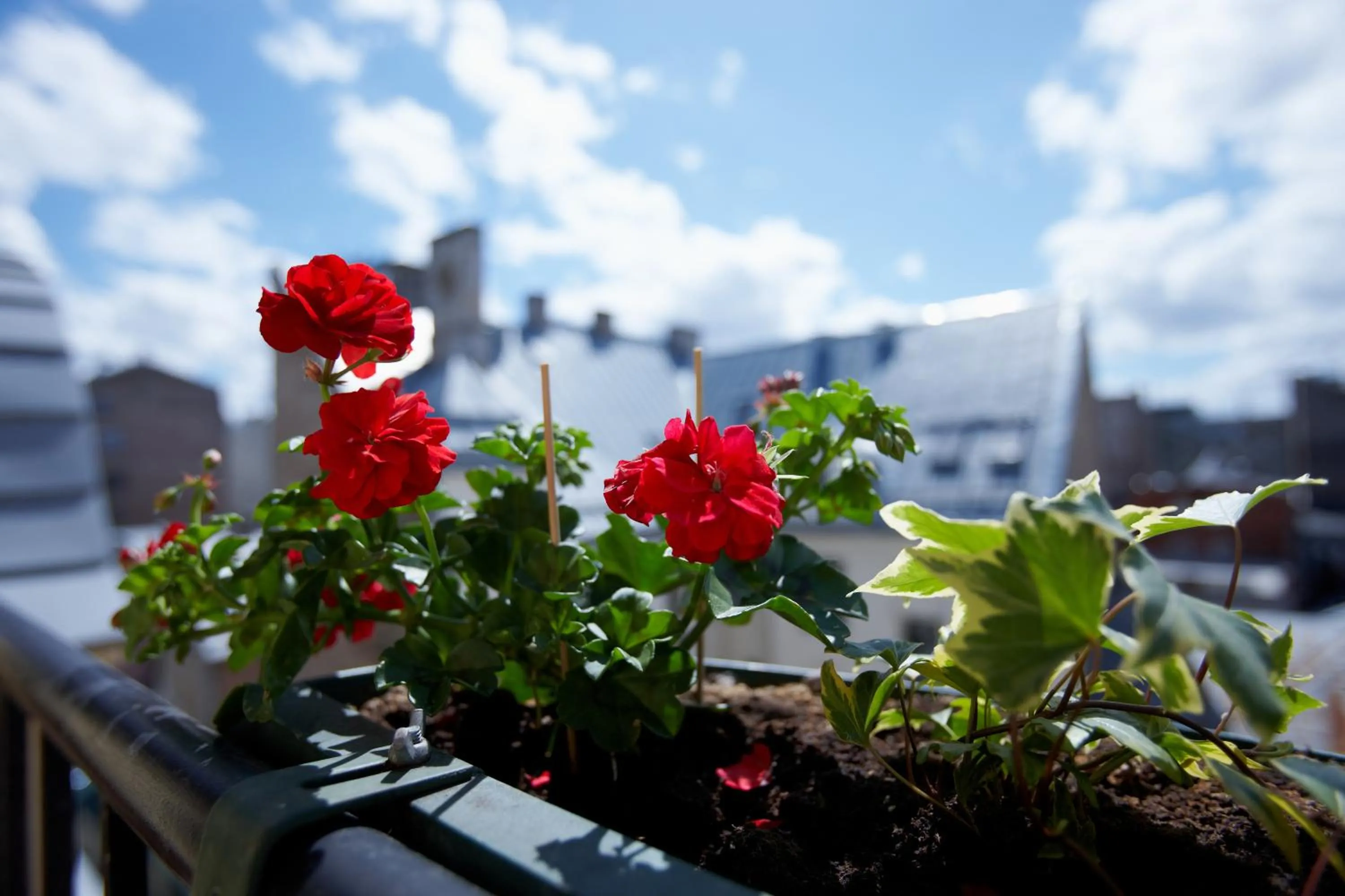 Off site in Hotel Edvards