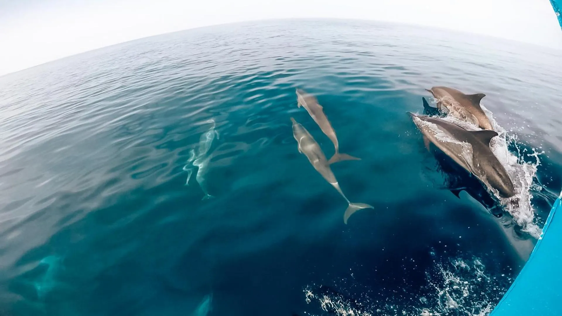 Natural landscape in Bliss Dhigurah