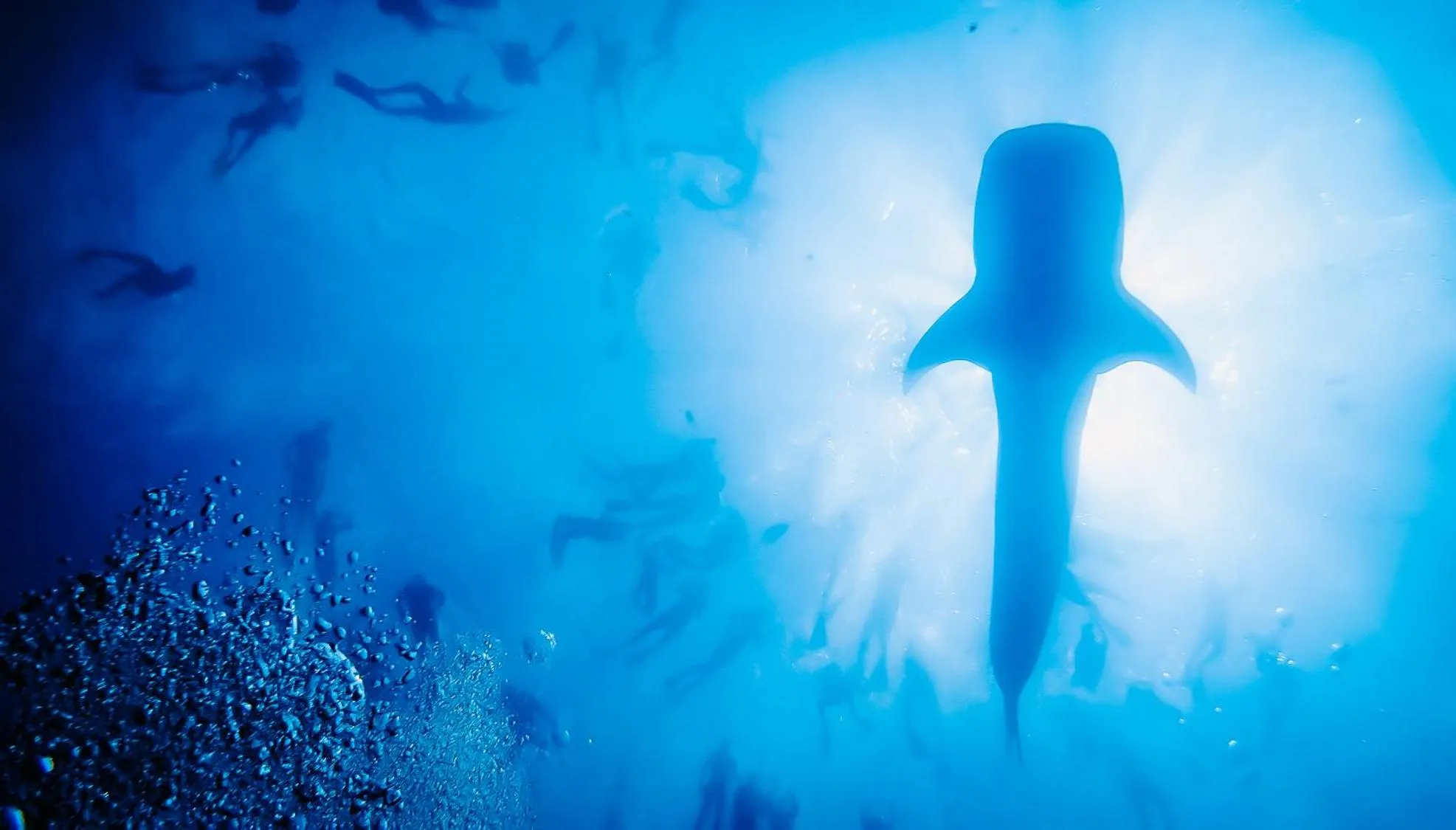 Snorkeling in Bliss Dhigurah