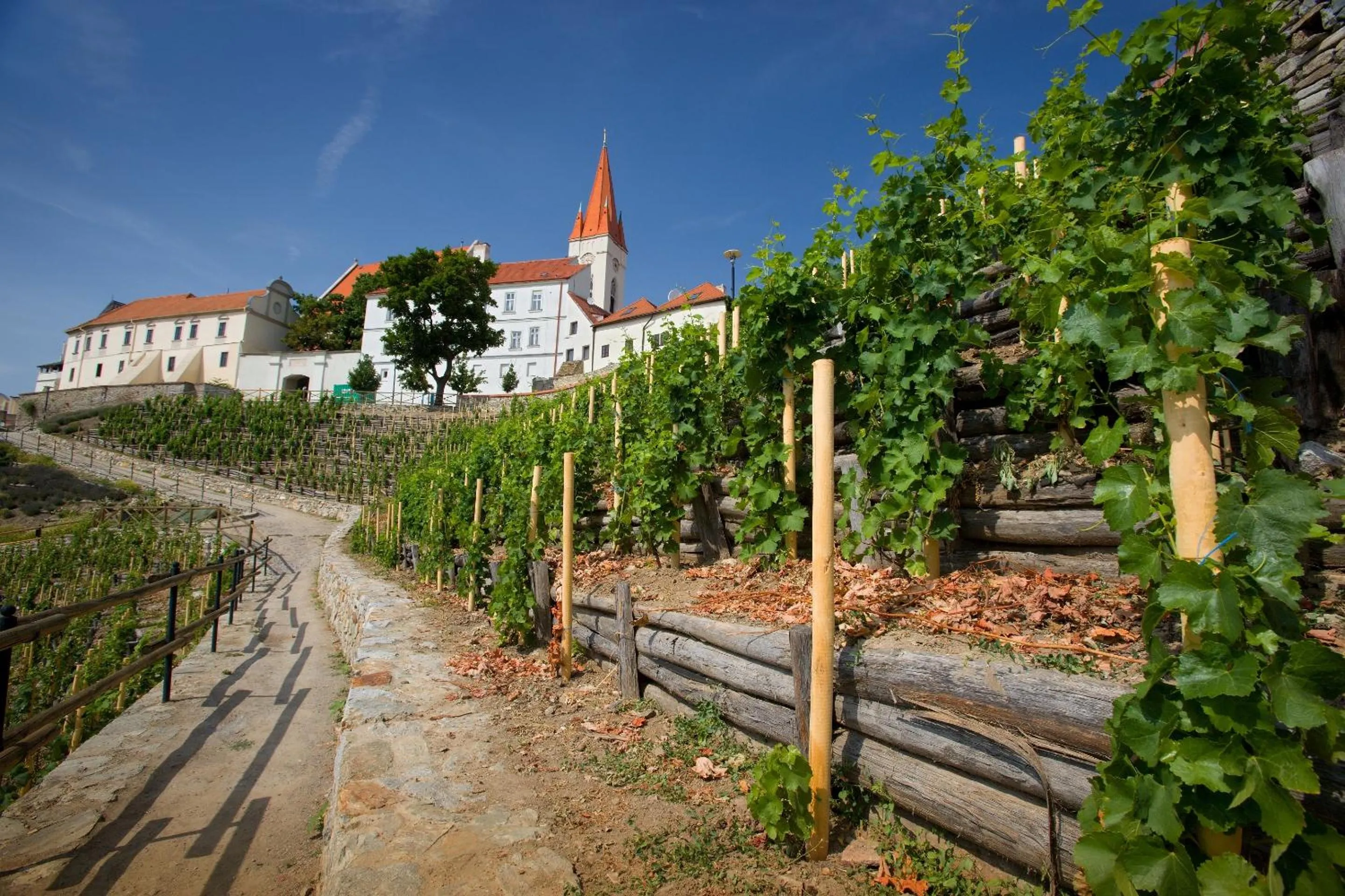 Neighbourhood in Hotel Lahofer