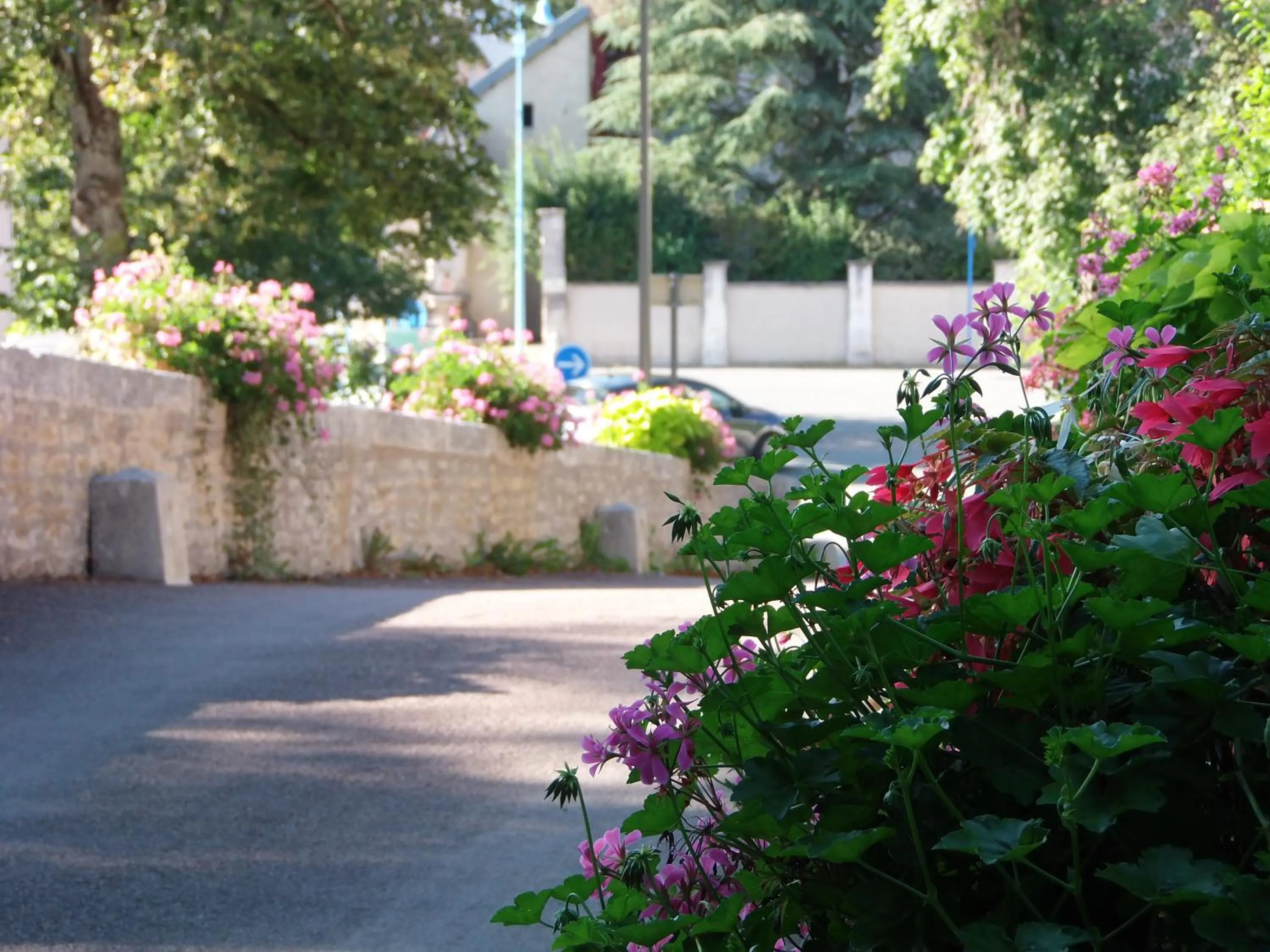 Natural landscape in Hostellerie Au rendez-vous des amis