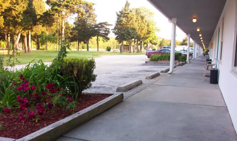 Day in Hyland Motor Inn