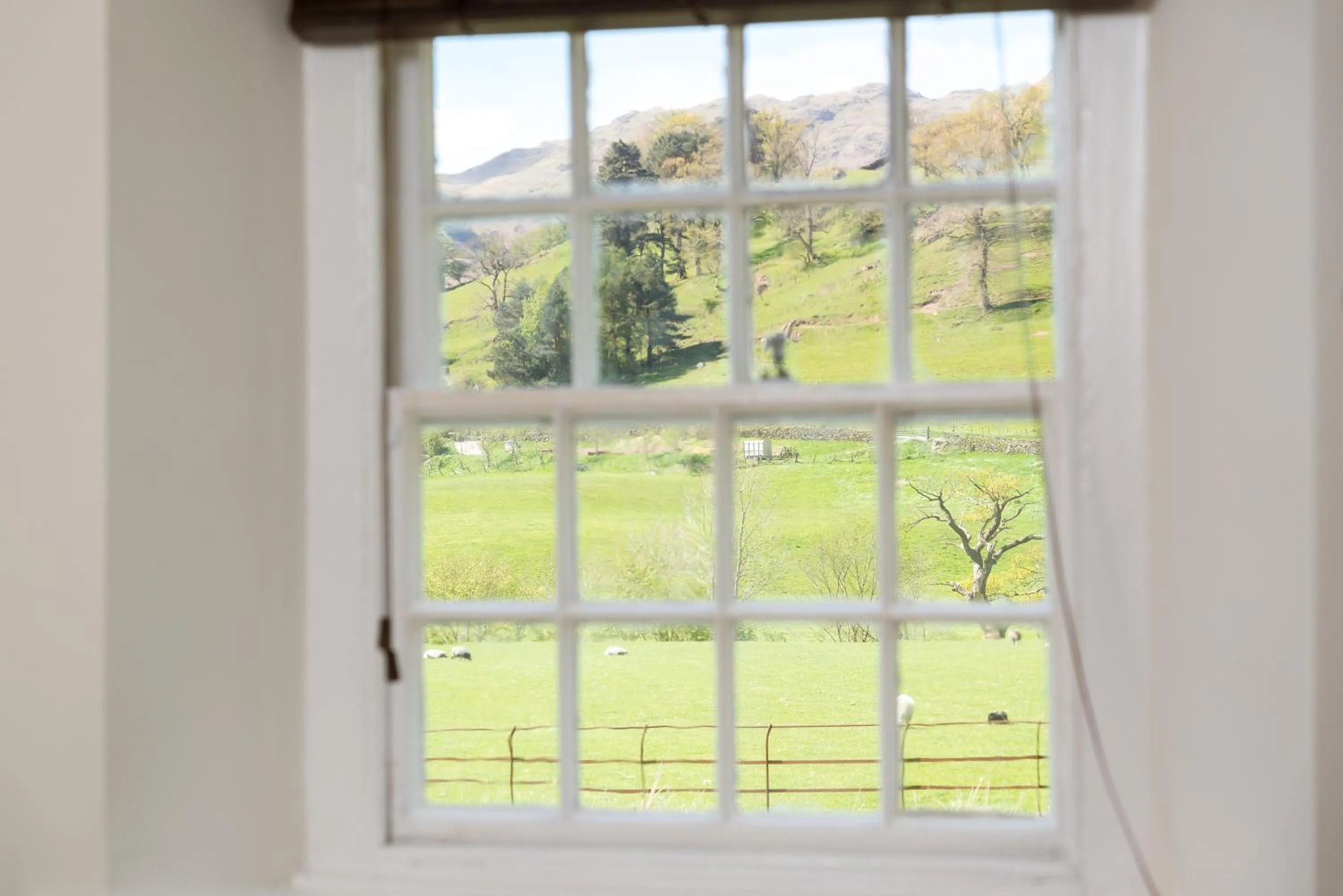 Mountain view in The Traveller's Rest