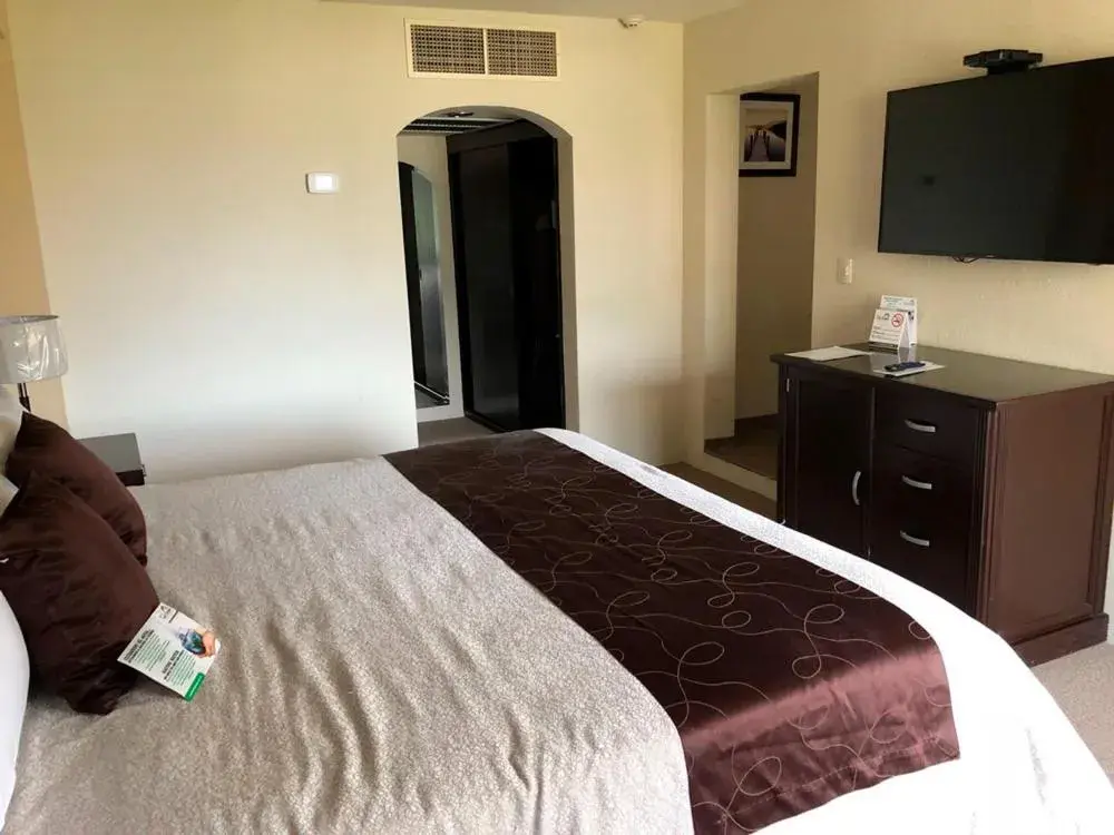 Junior Suite in Hotel Las Trojes Junior Suite in Hotel Las Trojes