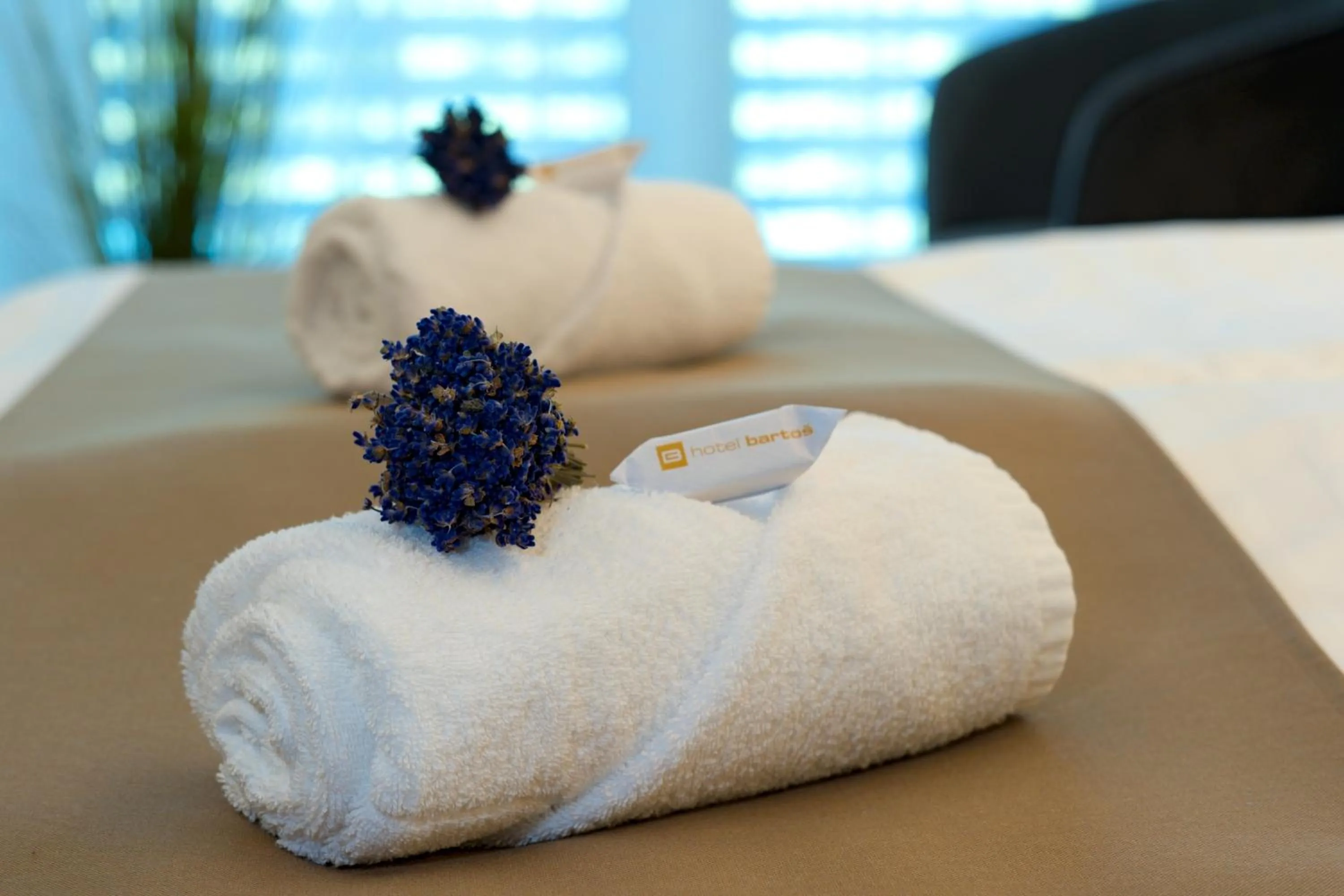 Bed in Hotel Bartoš