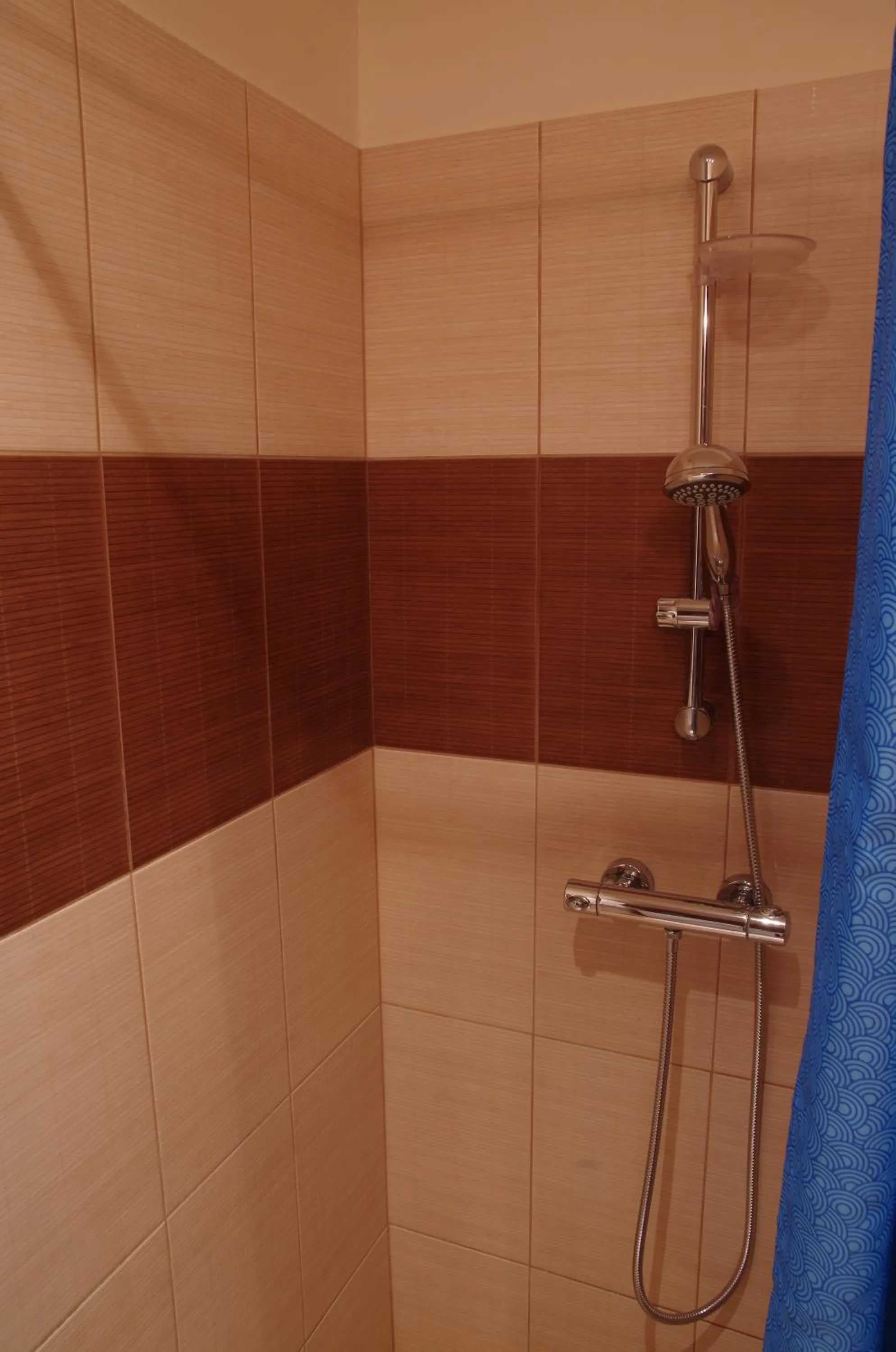 Shower in Szucha Apartments