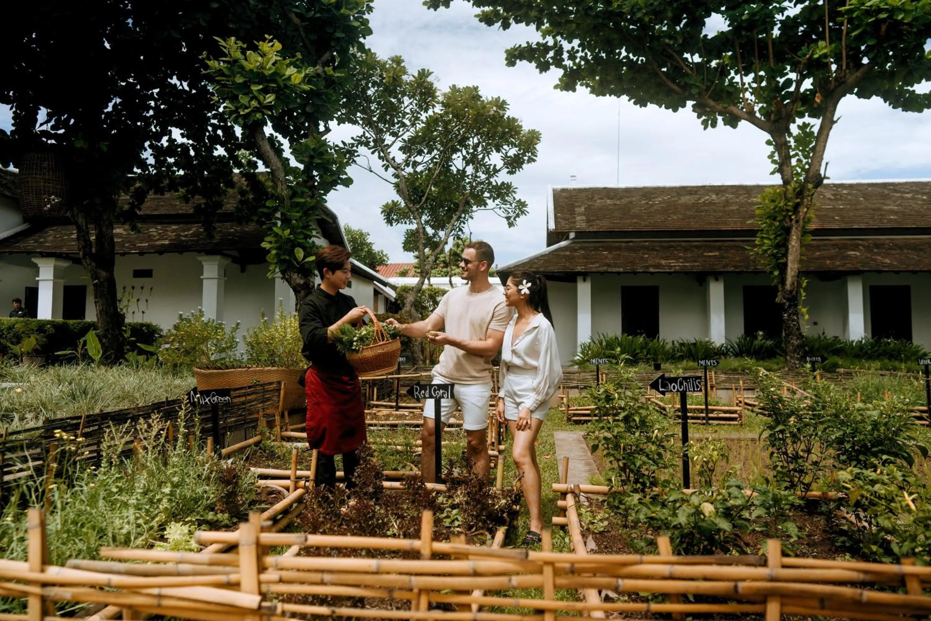 Garden in Sofitel Luang Prabang