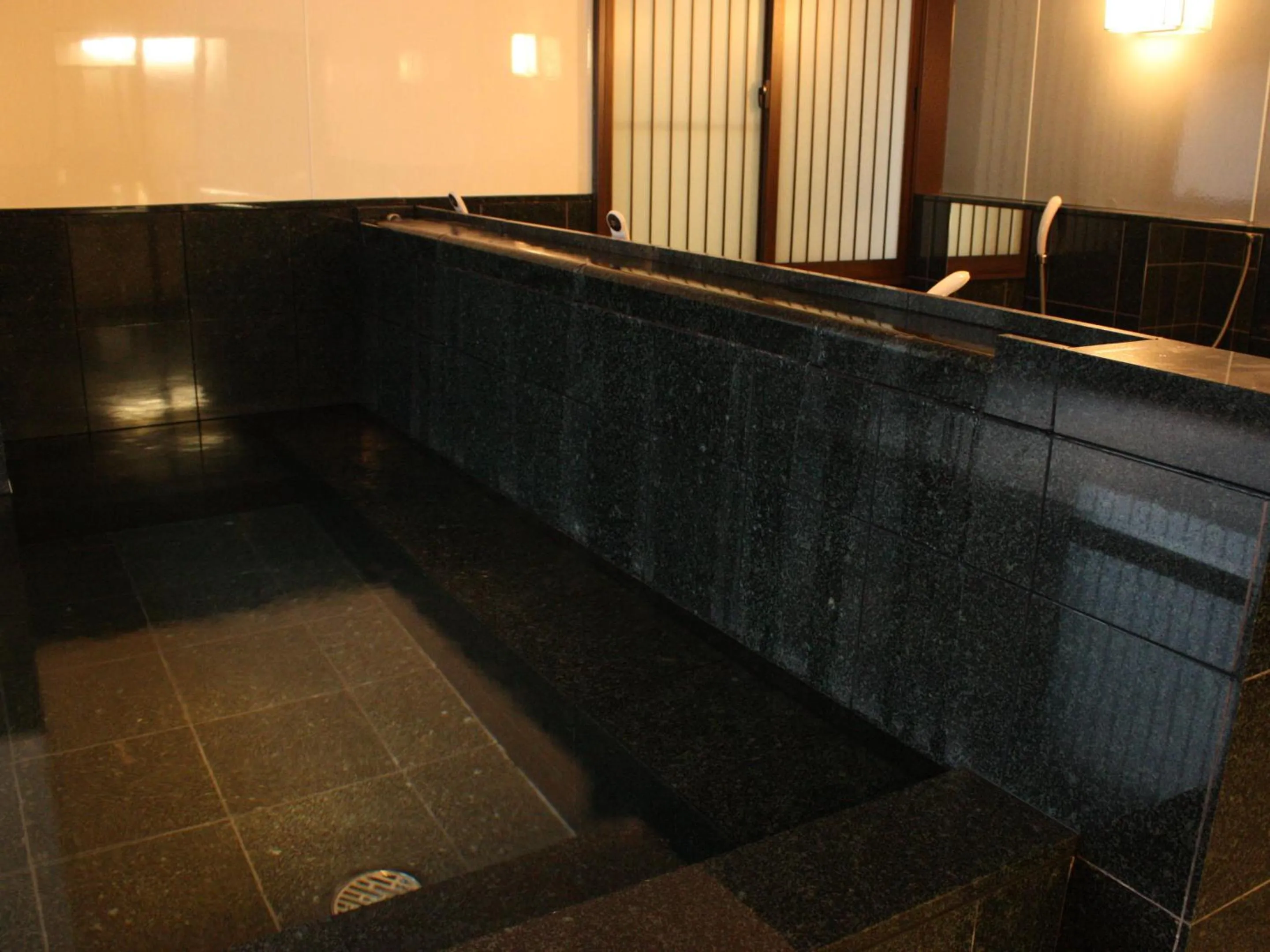 Public Bath in Satomo Ryokan