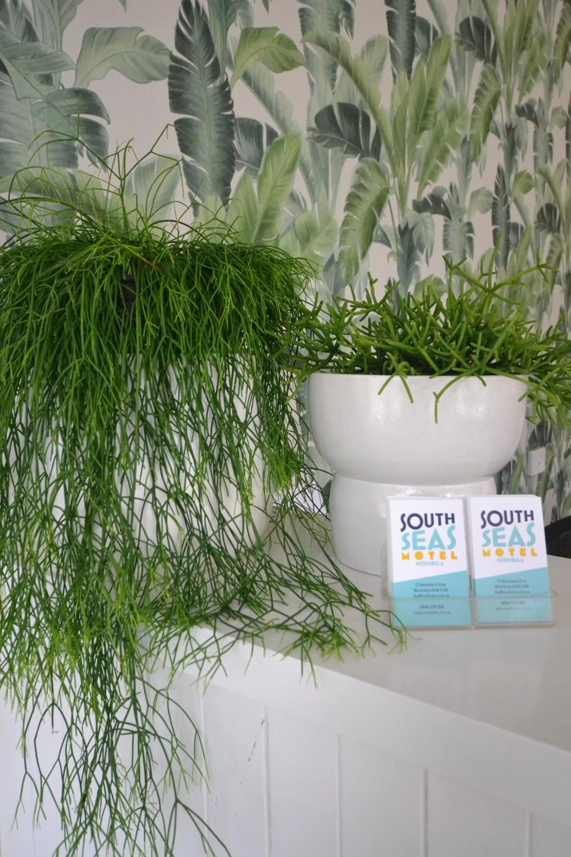 Lobby or reception in South Seas Motel