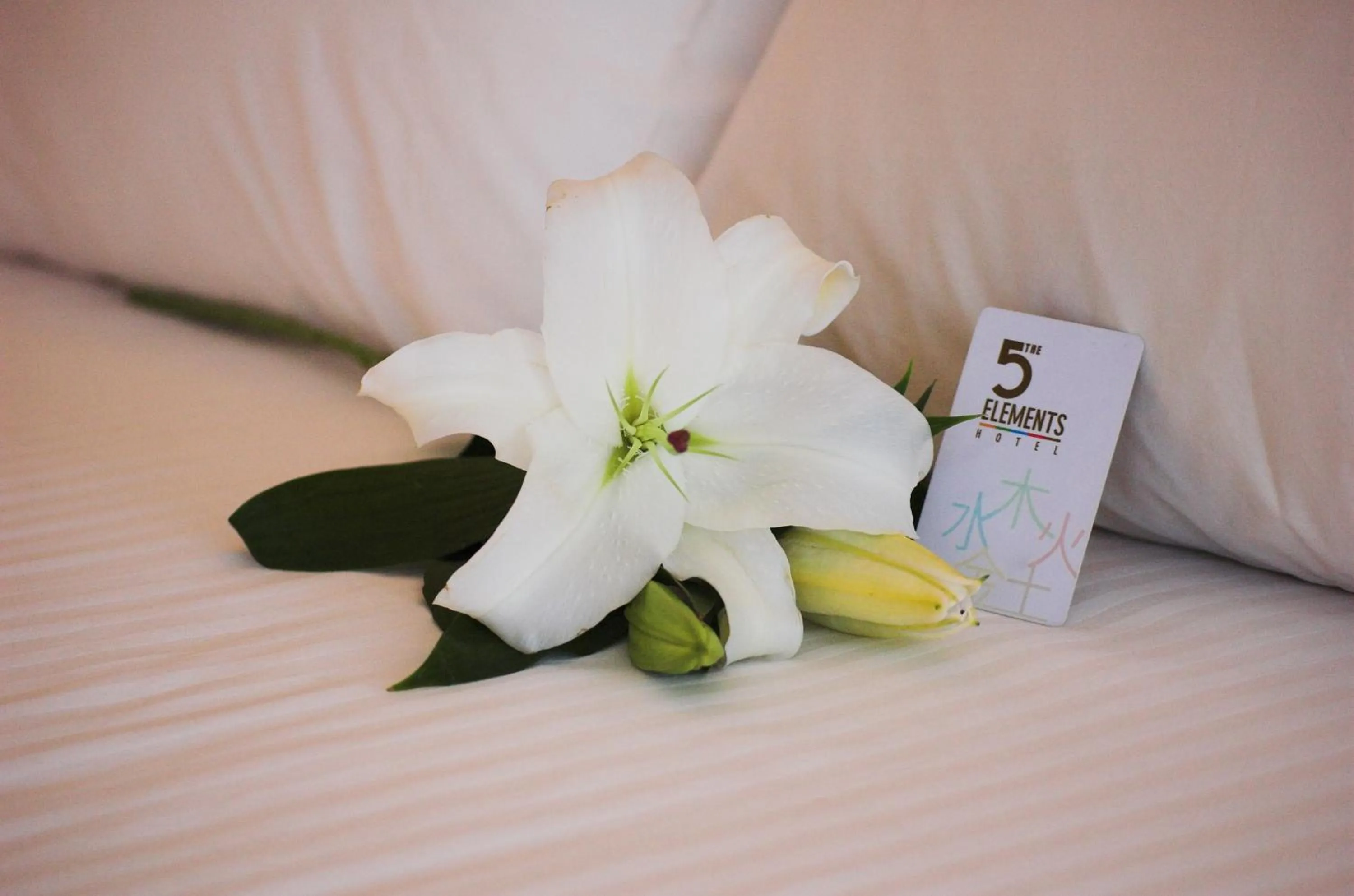 Other, Bed in The 5 Elements Hotel Chinatown Kuala Lumpur