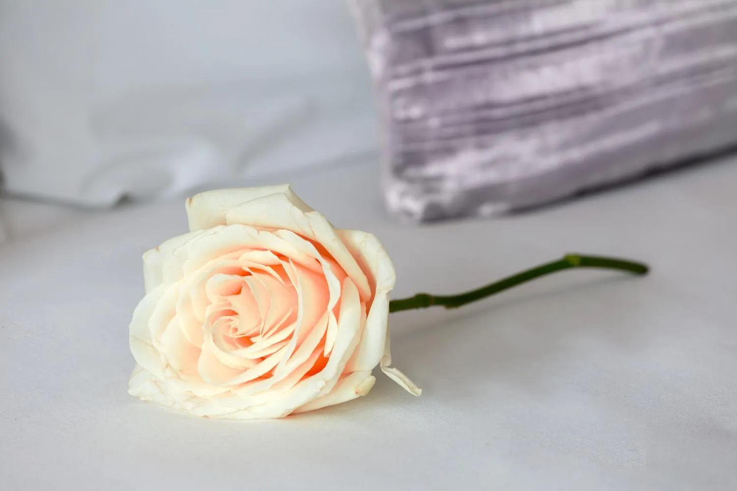 Deluxe Central London Apartment