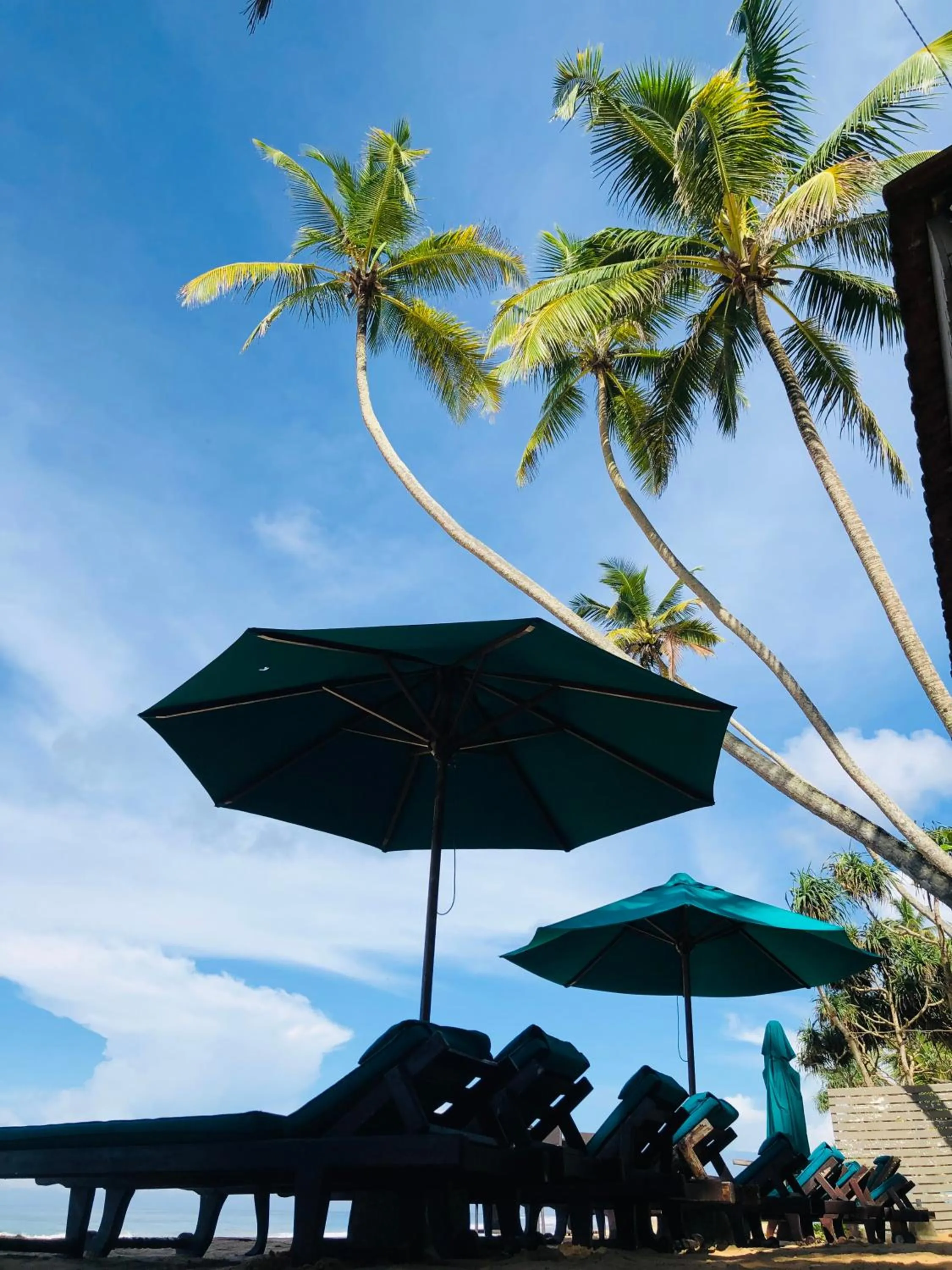 Beach in Suite Lanka