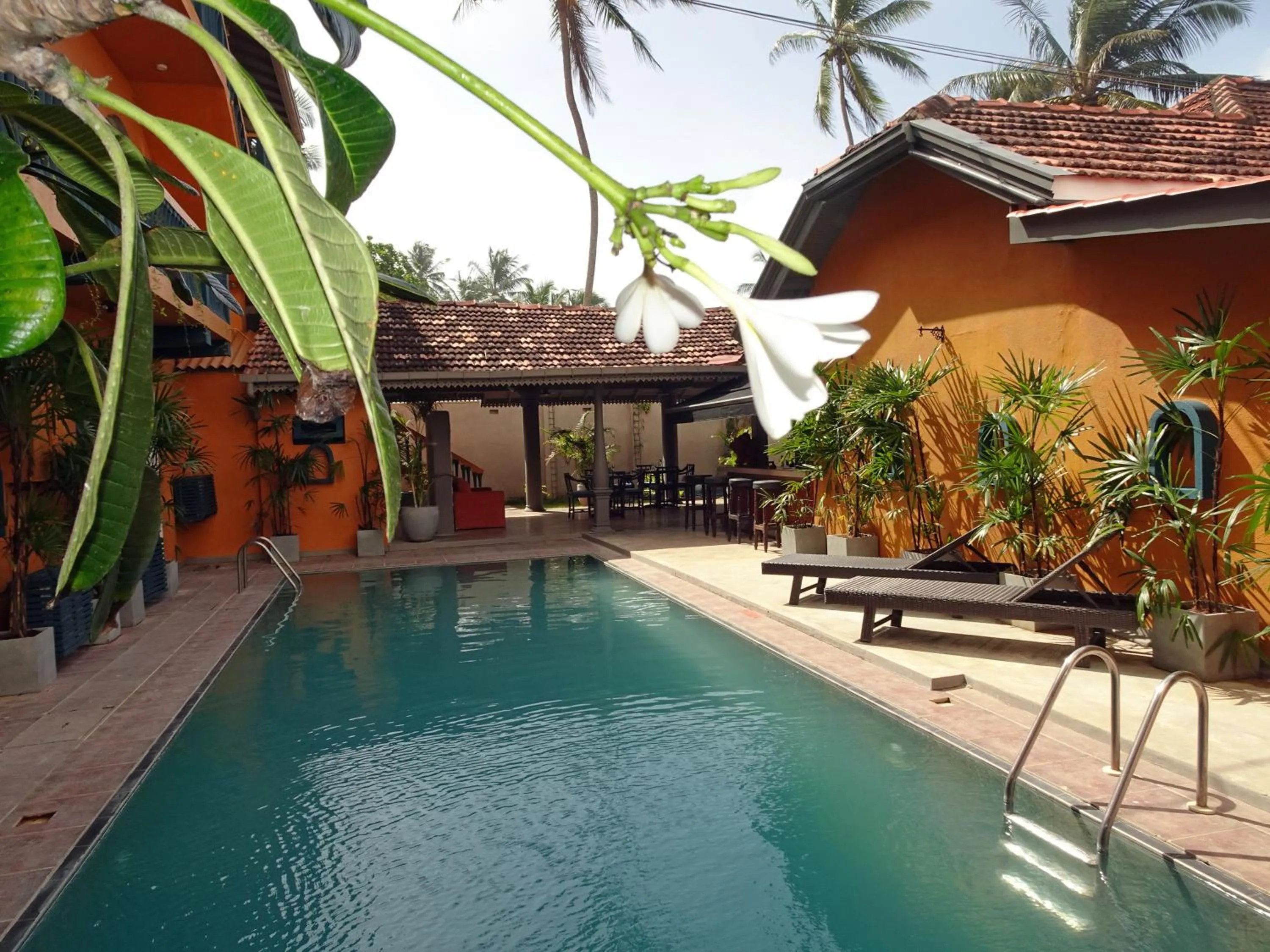 Swimming pool in Suite Lanka
