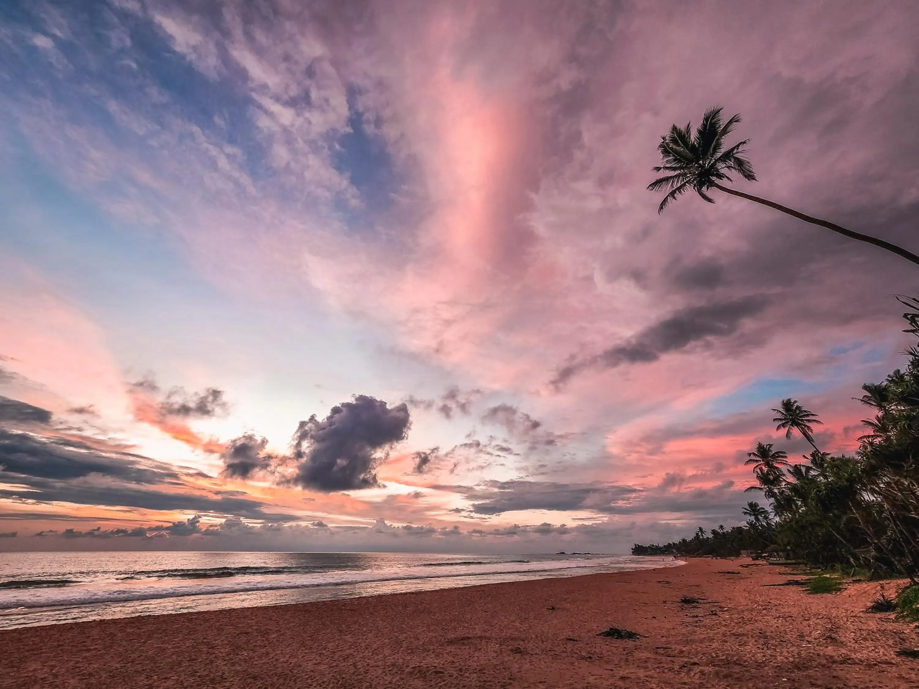 View (from property/room) in Suite Lanka