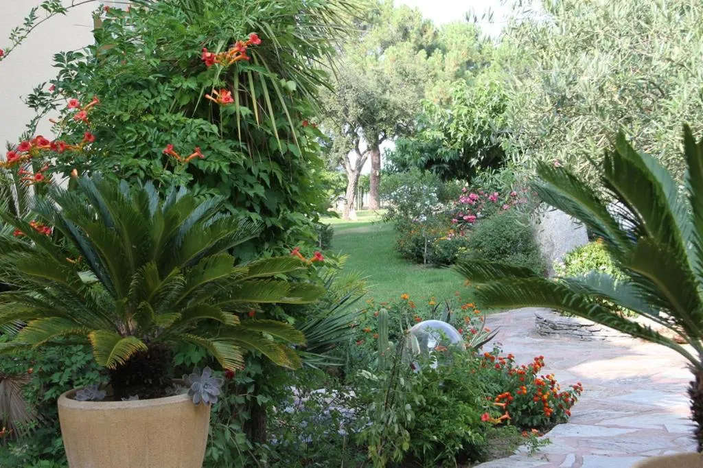 Garden in Isola Hôtel