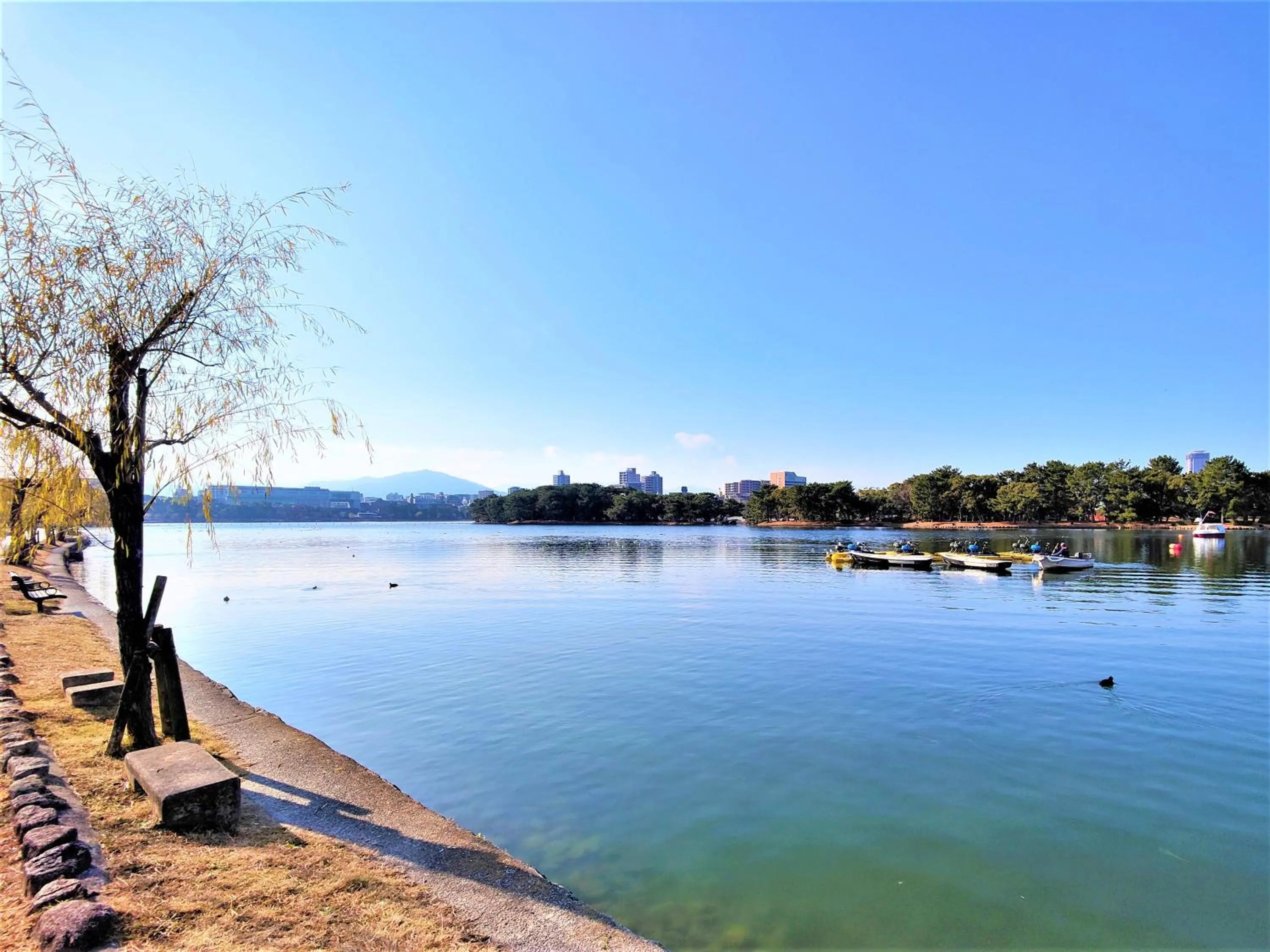 Natural landscape in Heiwadai Hotel Otemon