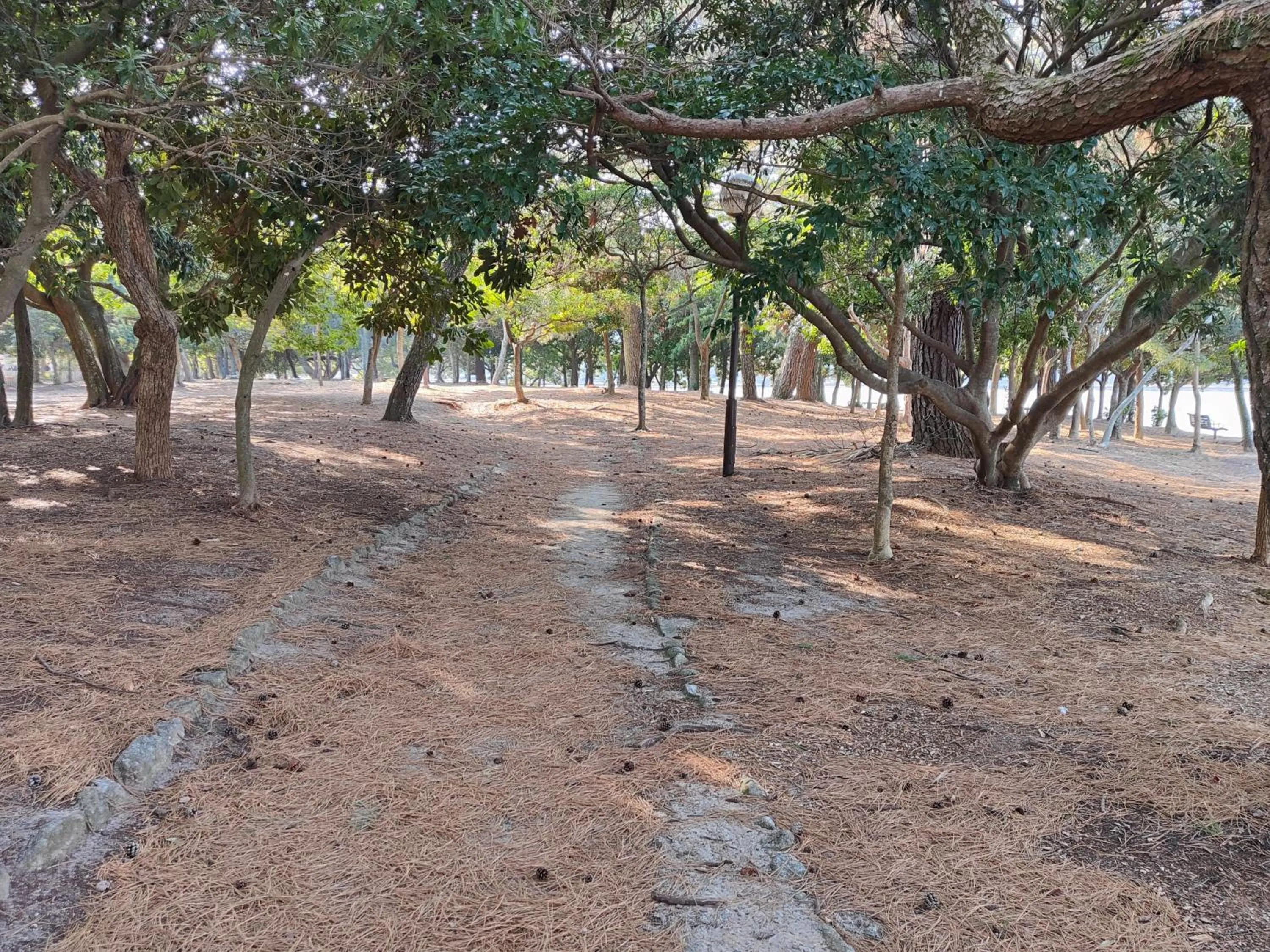 Natural landscape in Heiwadai Hotel Otemon