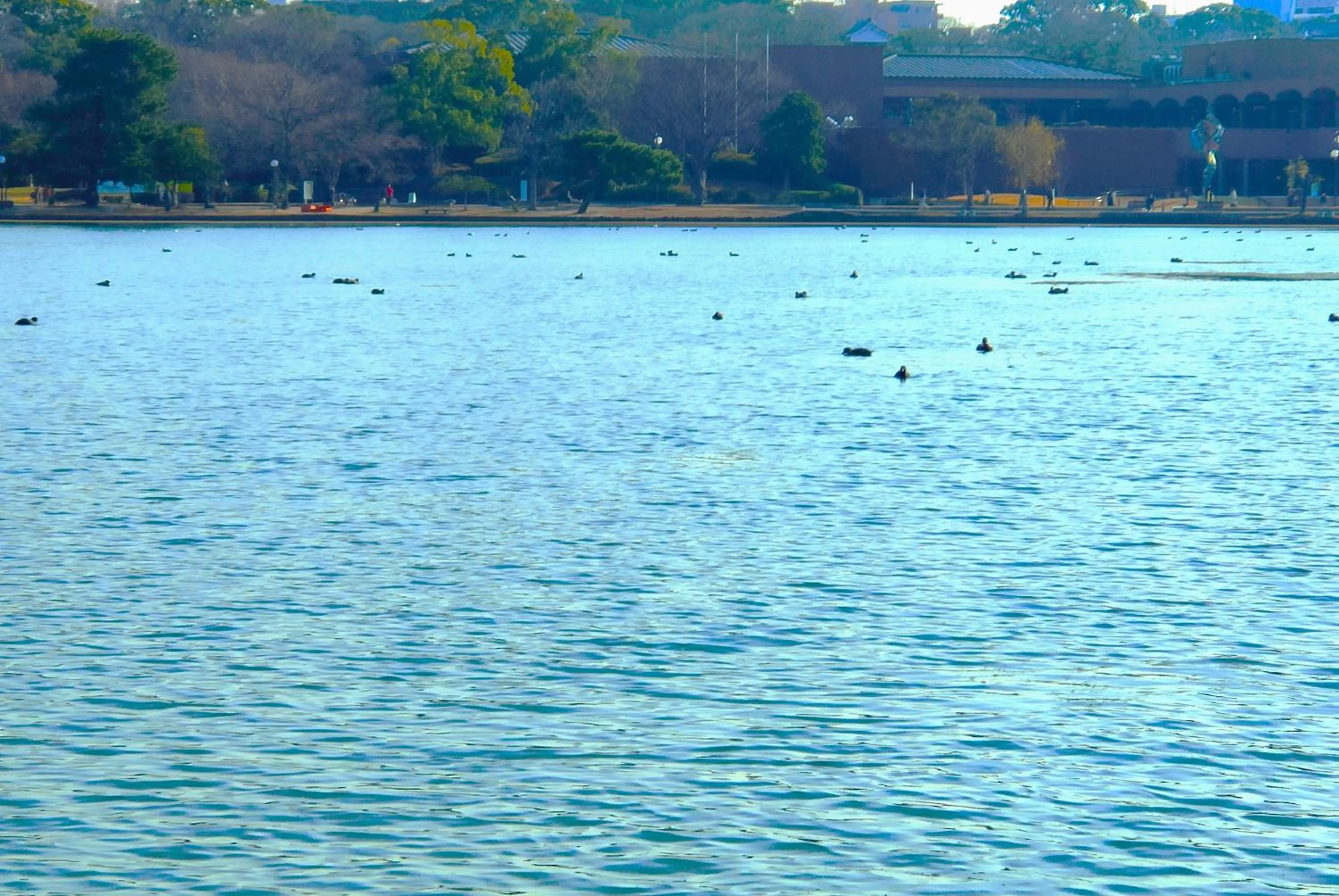 Natural landscape in Heiwadai Hotel Otemon