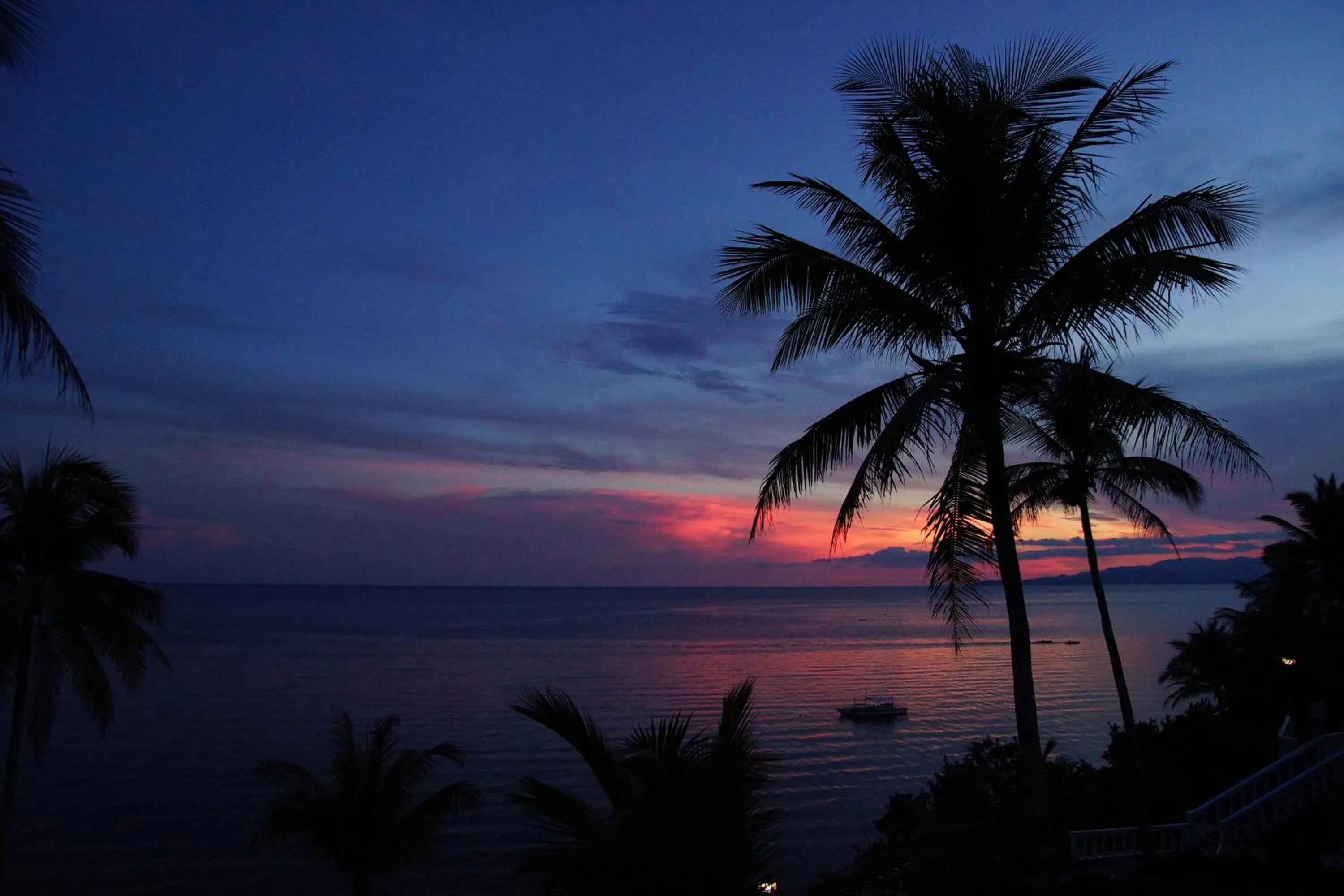 Restaurant/places to eat in Blue Star Dive and Resort