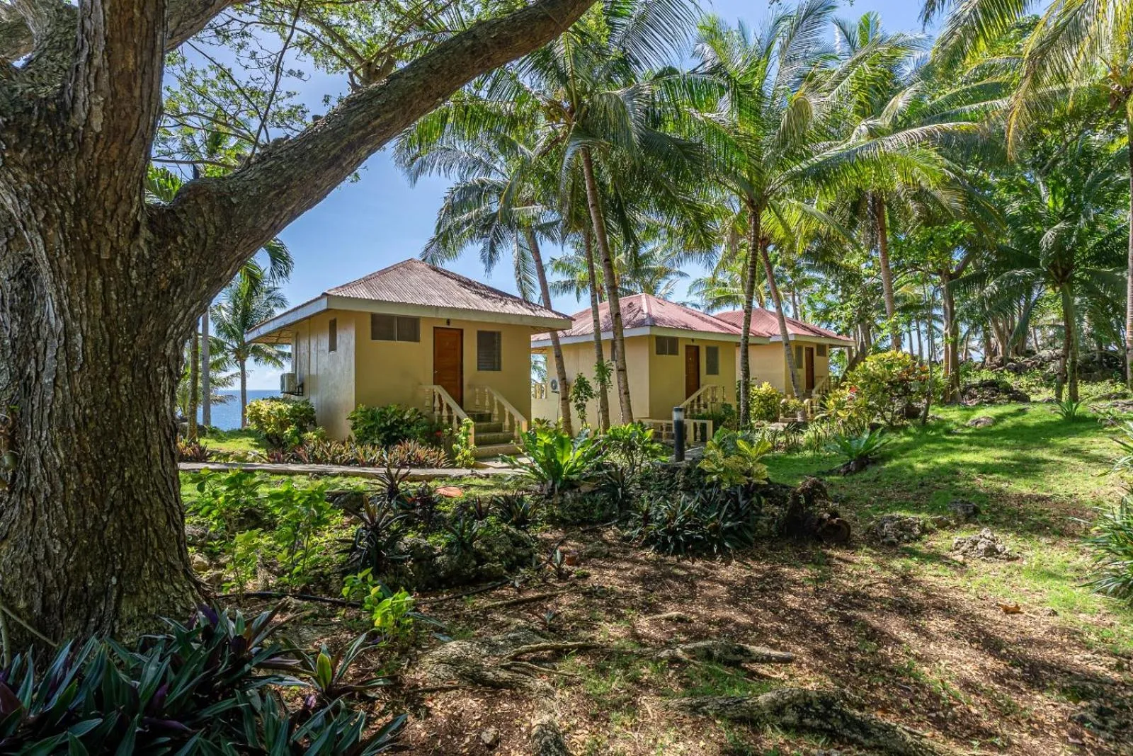 Blue Star Dive and Resort