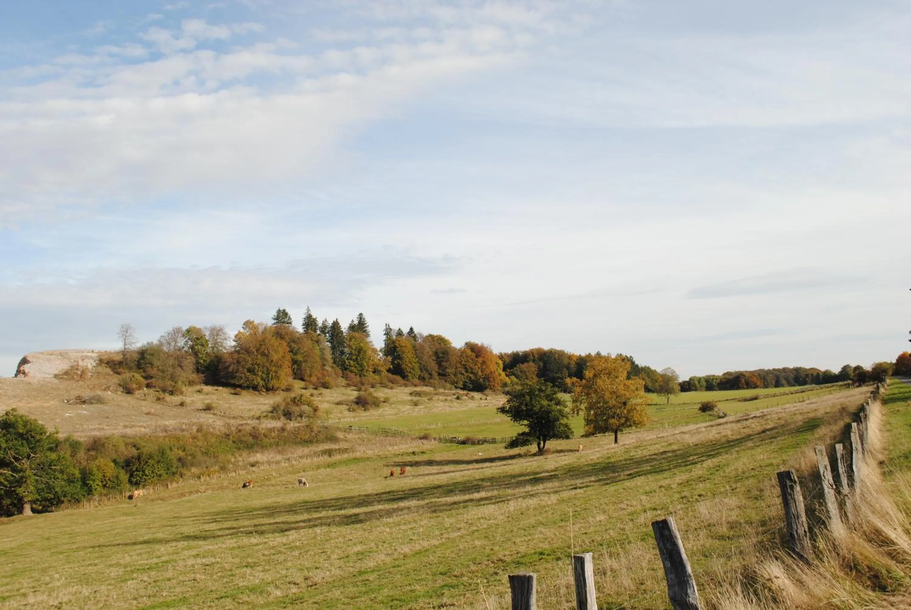 Area and facilities in Landgasthof Gruss