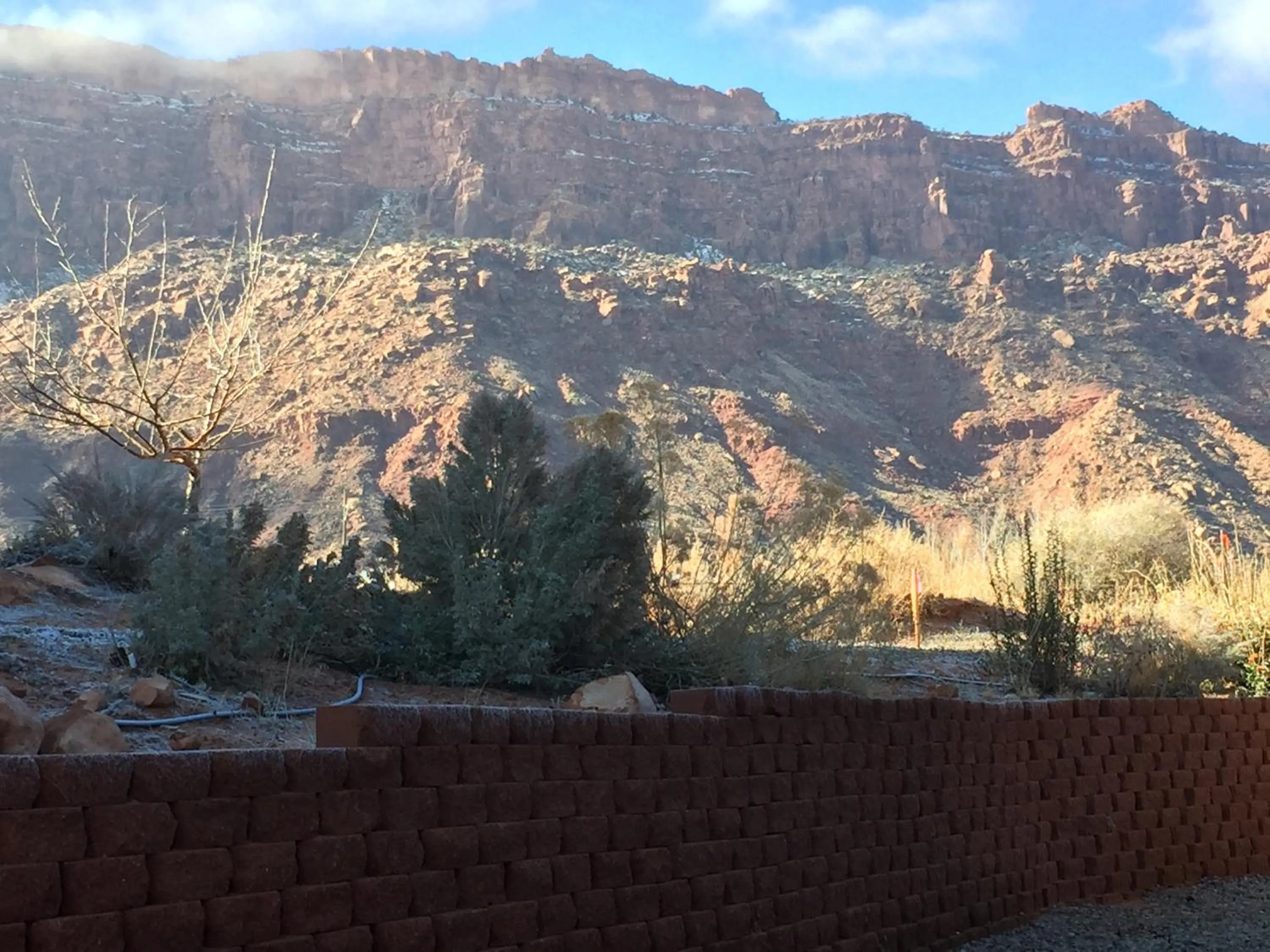 Property building in Oleander Place