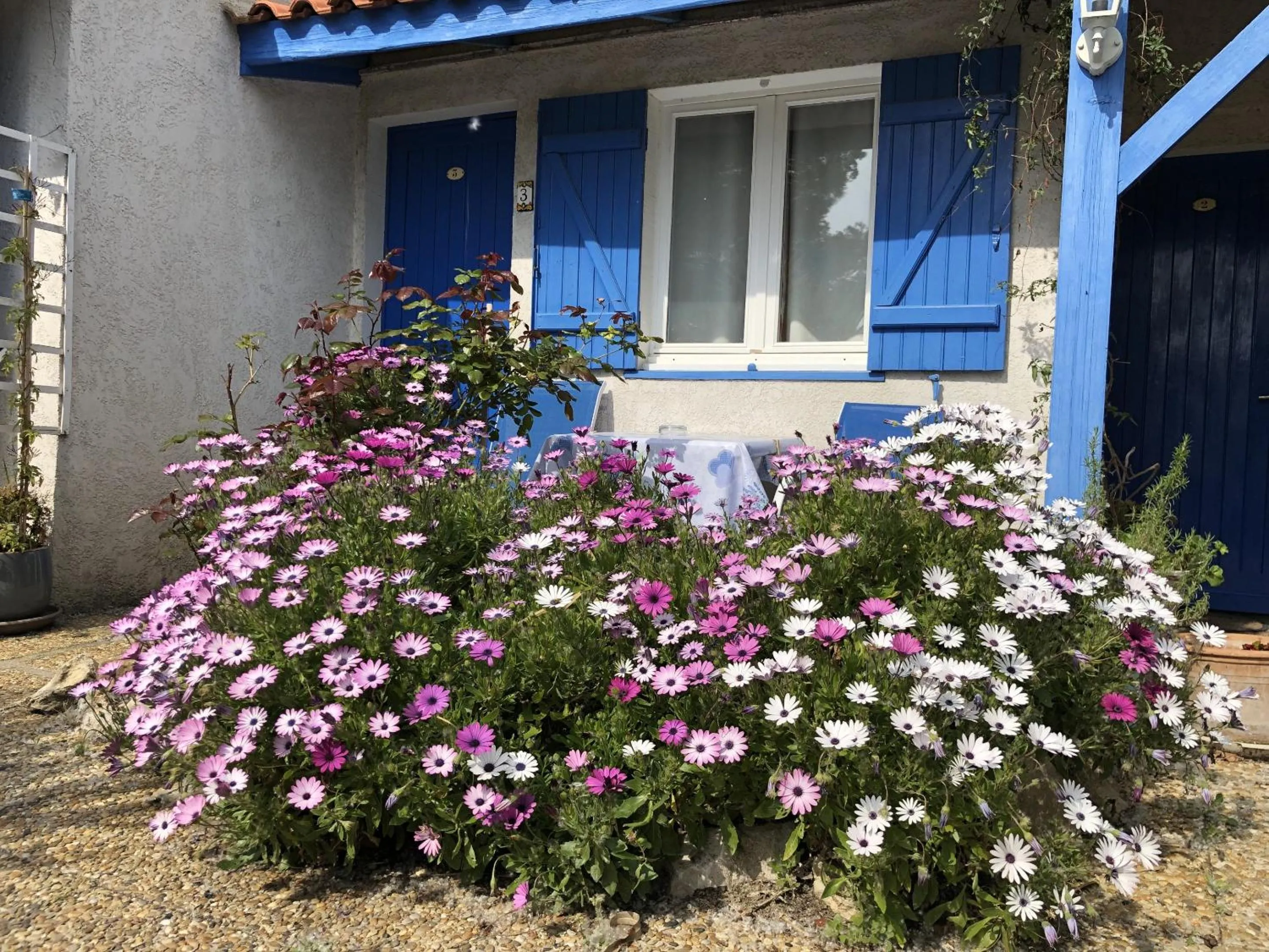 Garden in Hotel Des 4 Vents "Esprit Camargue" Parking Privé securisé