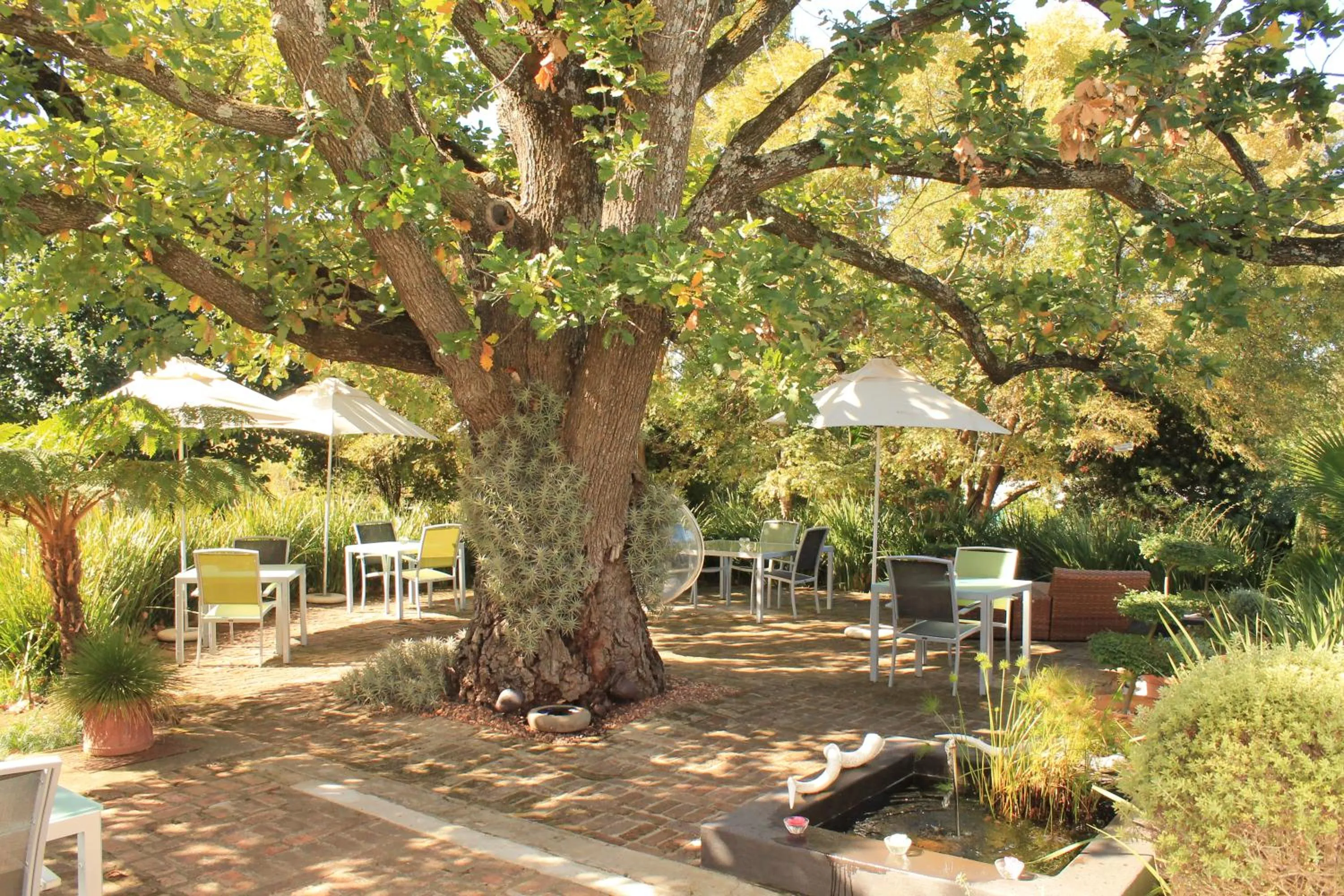 Natural landscape in Rothman Manor