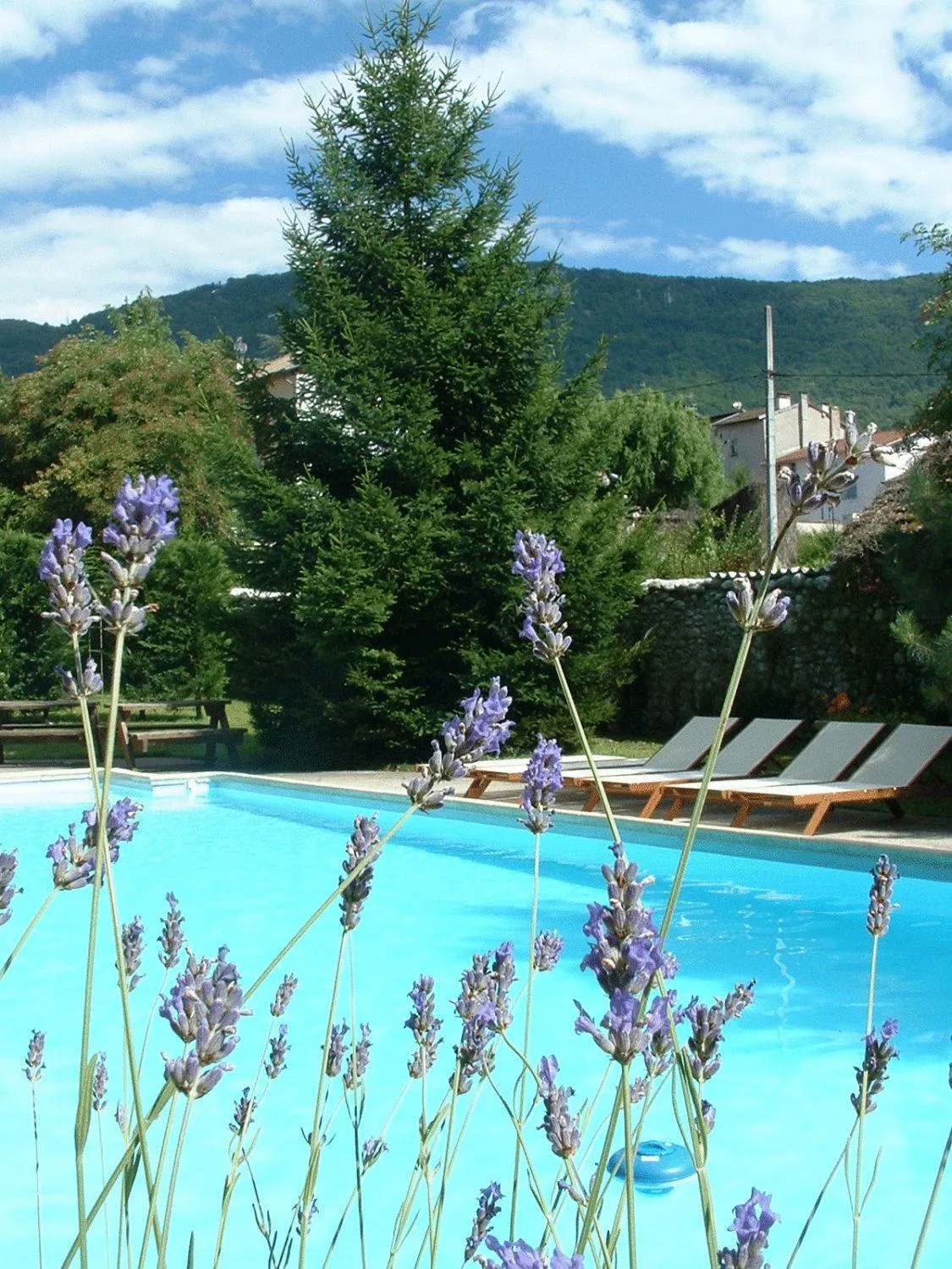 Pool view in Logis Hôtel Restaurant Le Castel Fleuri