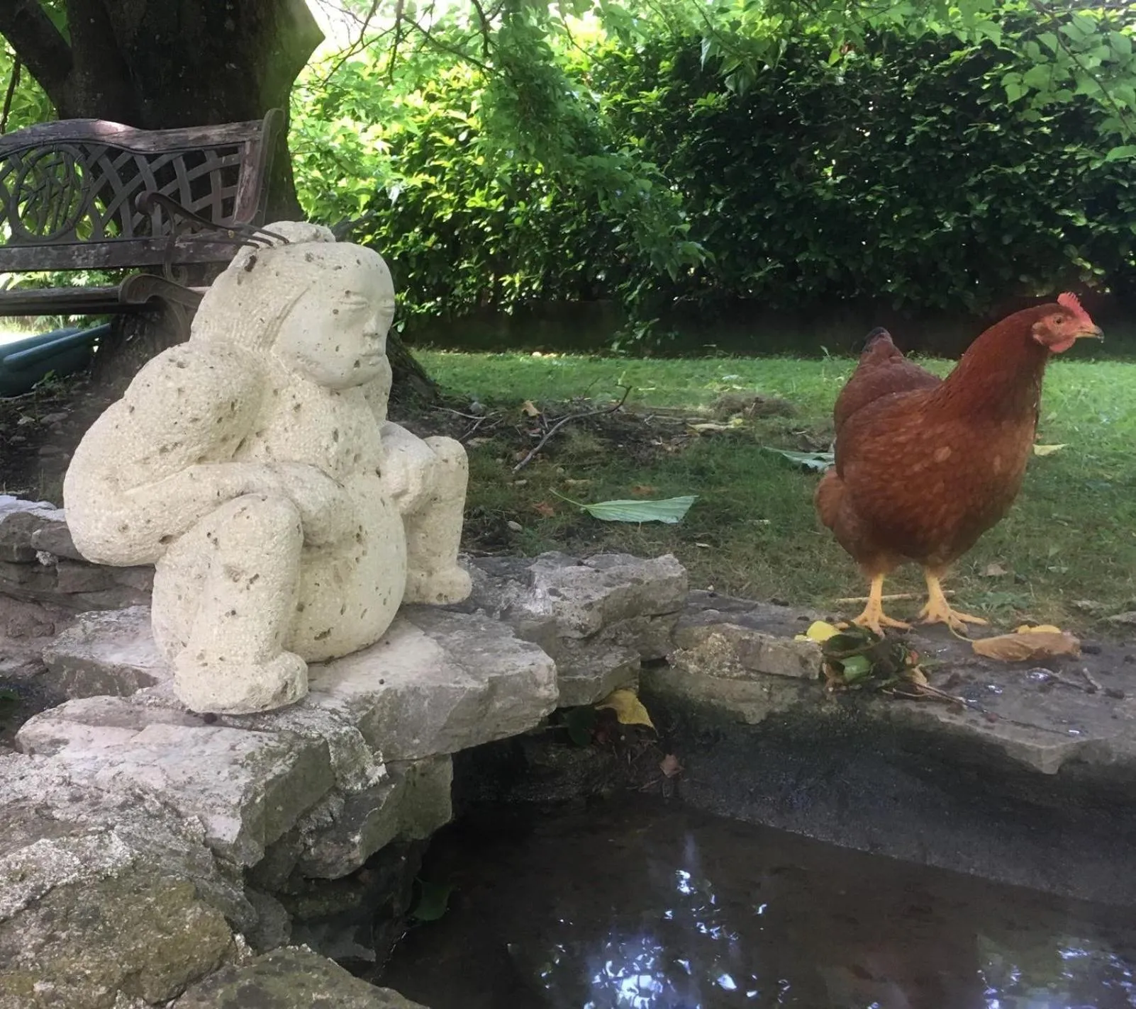 Garden in Logis Hôtel Restaurant Le Castel Fleuri