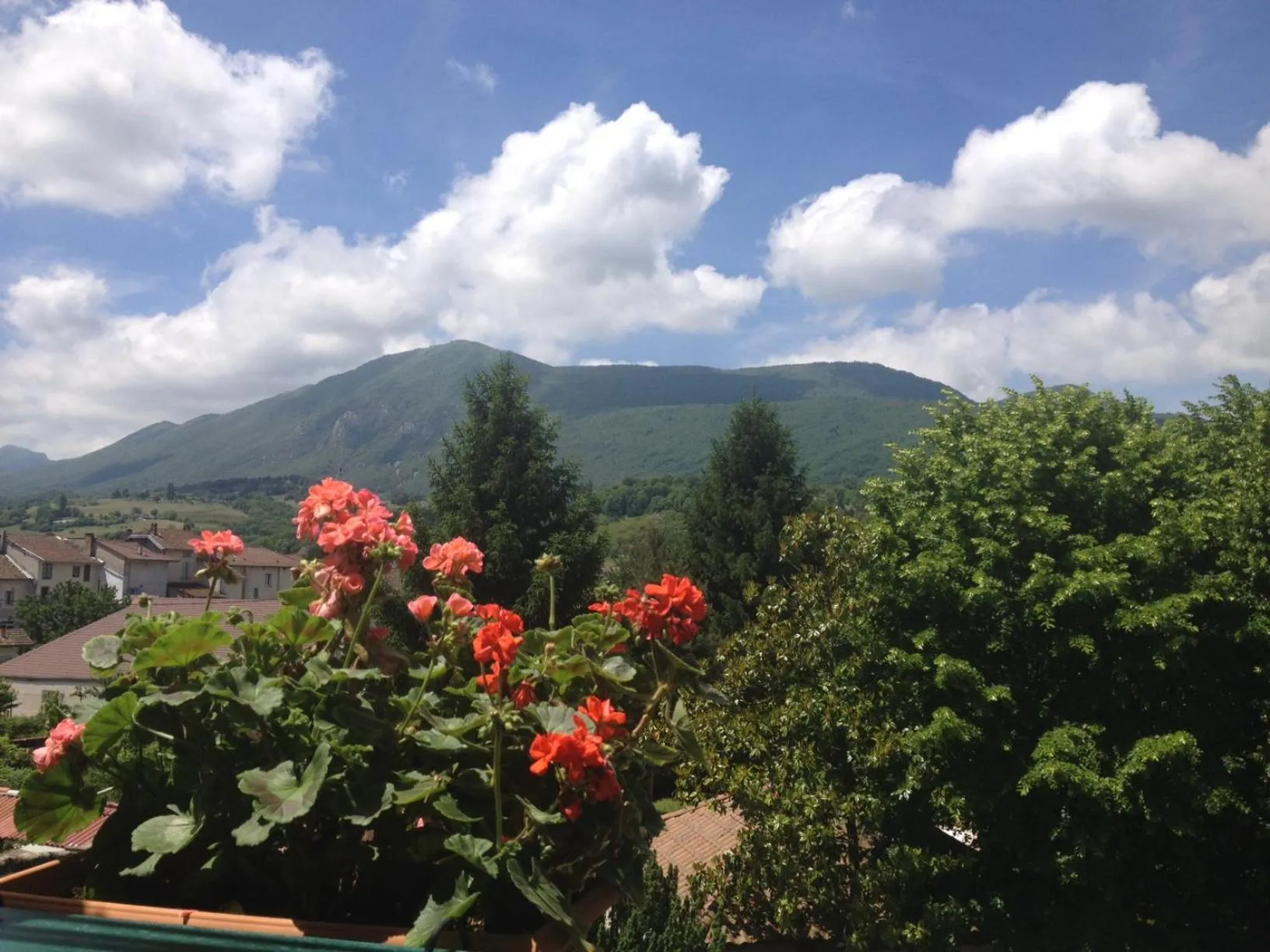 Garden in Logis Hôtel Restaurant Le Castel Fleuri