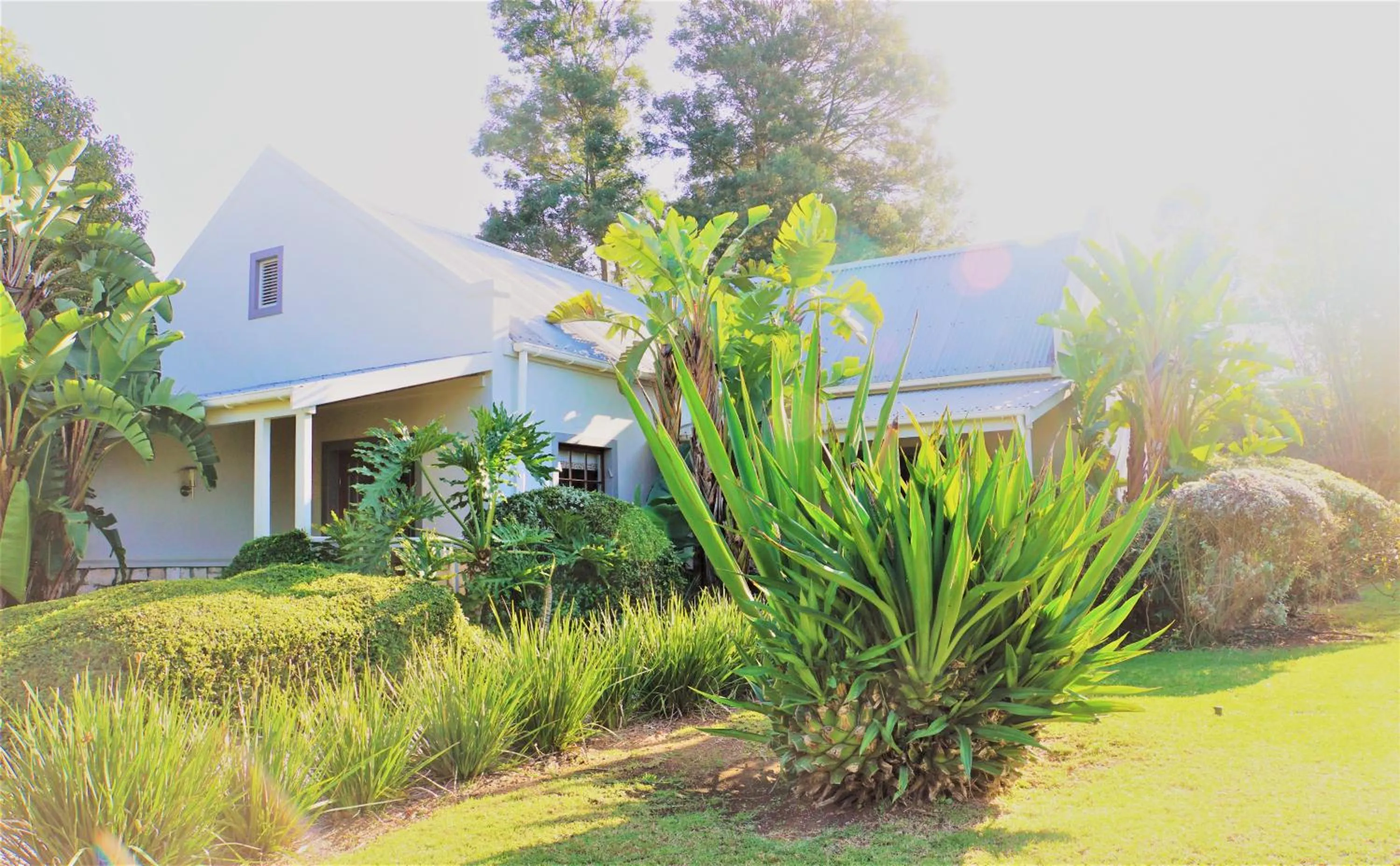 Property building in Swellendam Country Lodge - Guest House - B&B