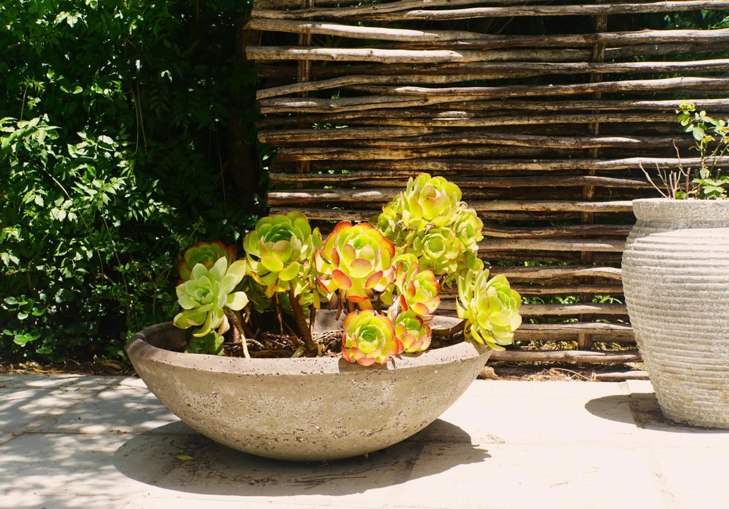 Garden in Swellendam Country Lodge - Guest House - B&B