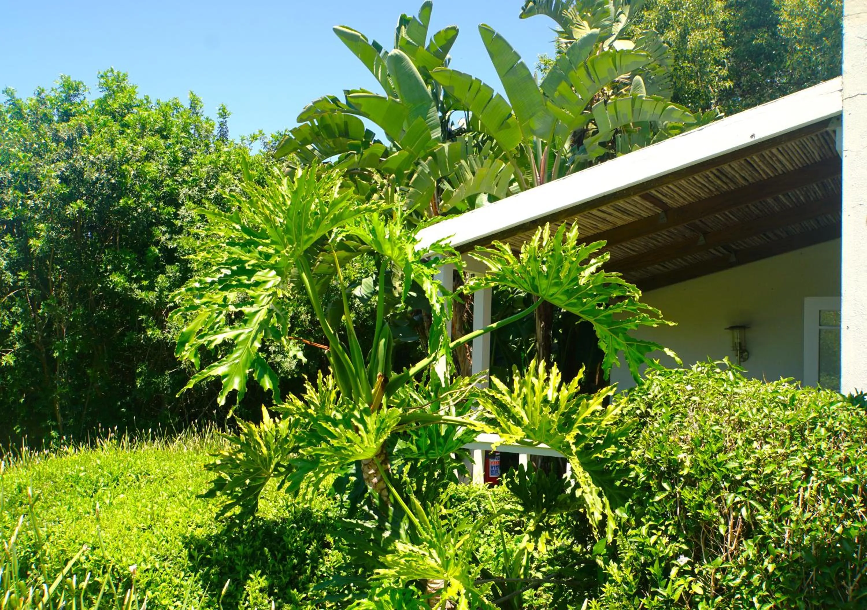 Garden in Swellendam Country Lodge - Guest House - B&B