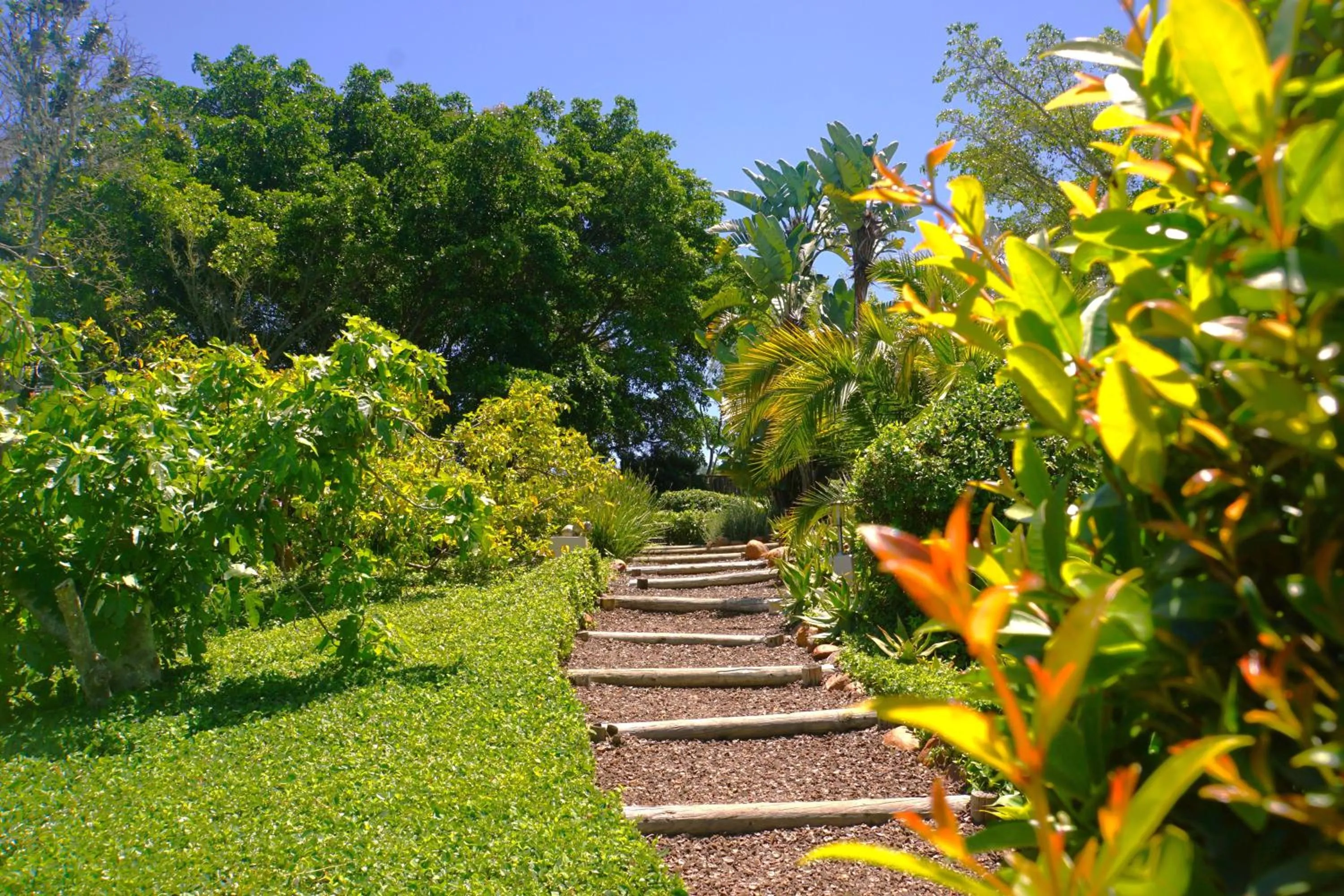 Garden in Swellendam Country Lodge - Guest House - B&B