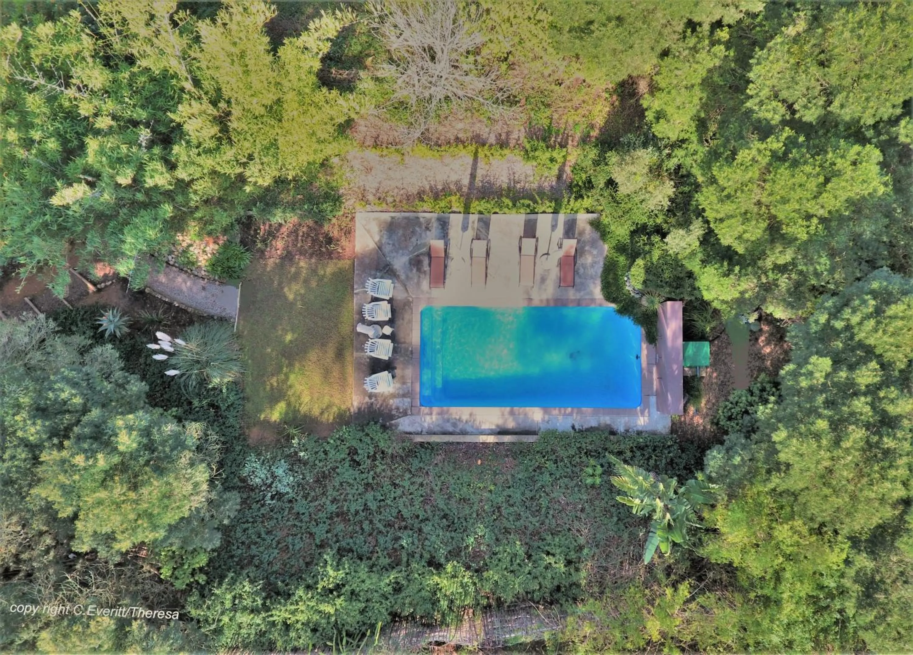 Pool view in Swellendam Country Lodge - Guest House - B&B