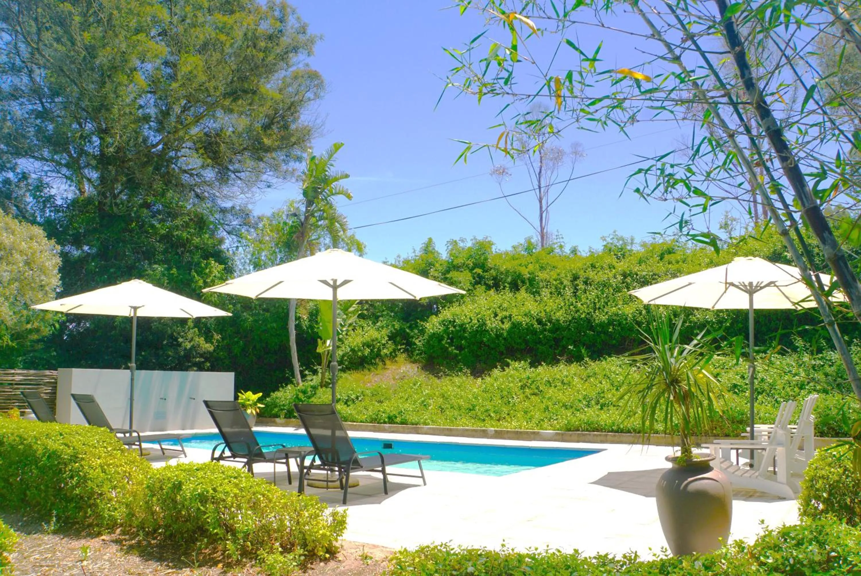 Swimming pool in Swellendam Country Lodge - Guest House - B&B