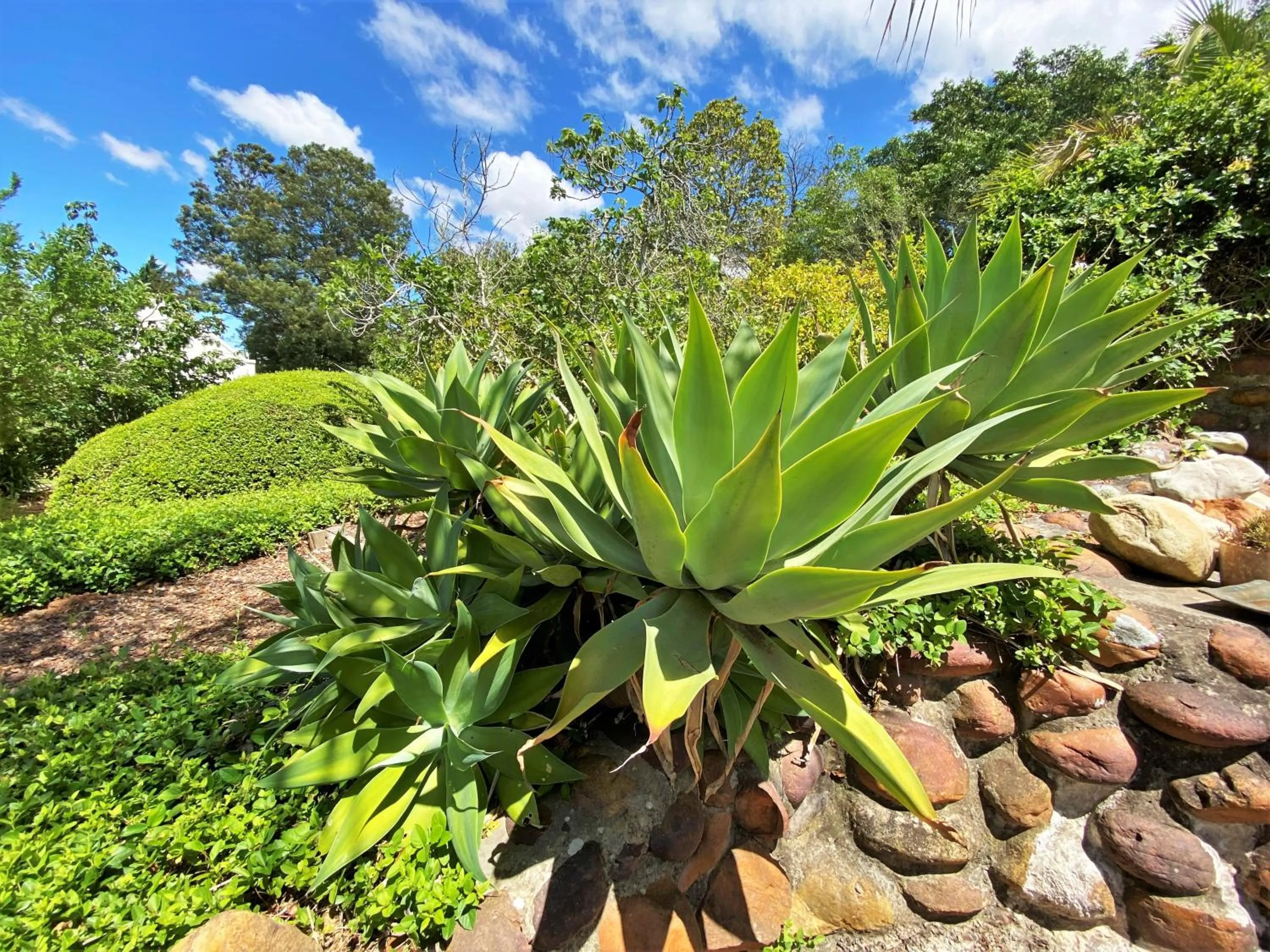 Garden in Swellendam Country Lodge - Guest House - B&B