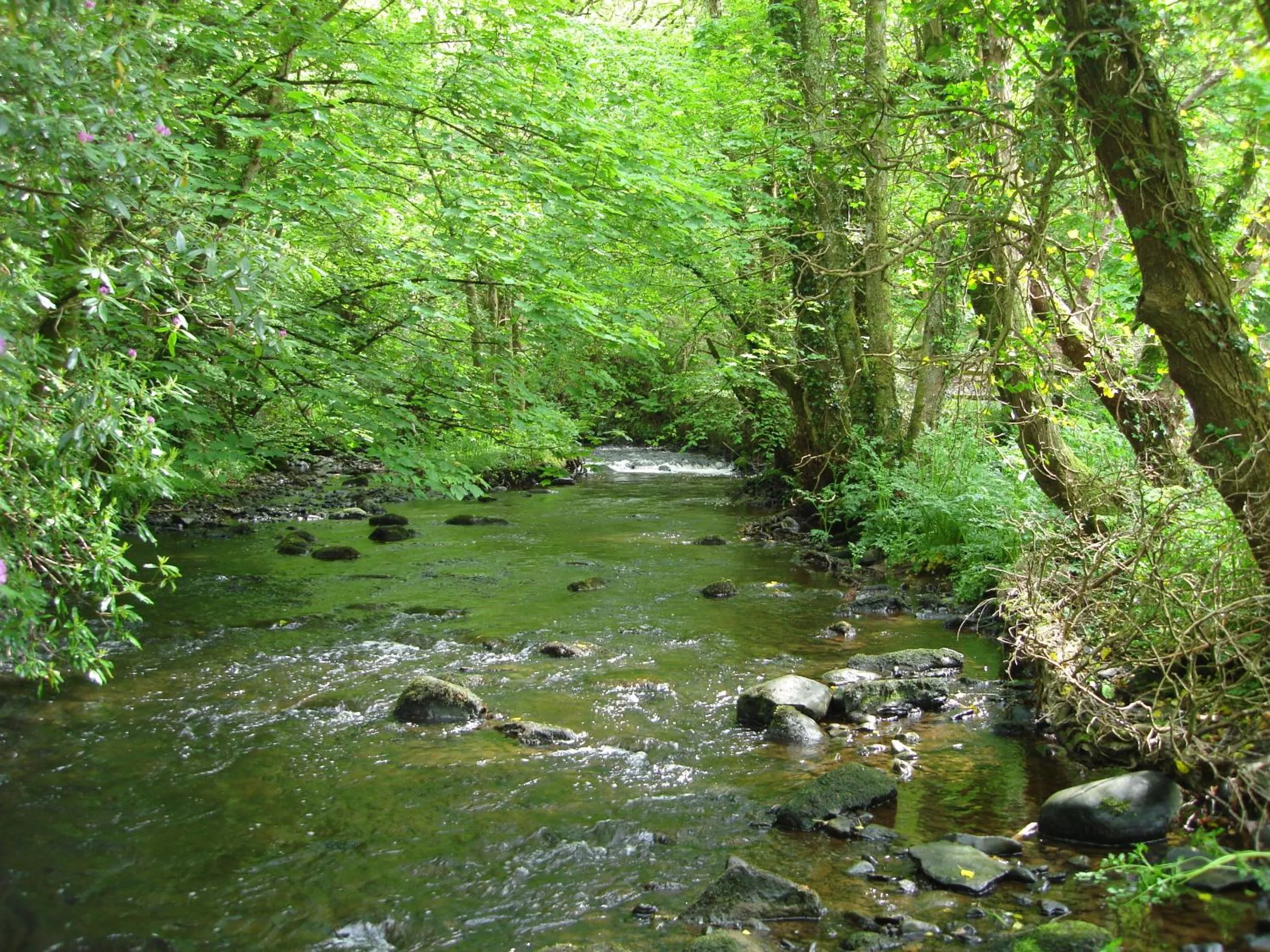 River view in Gleann Fia Country House