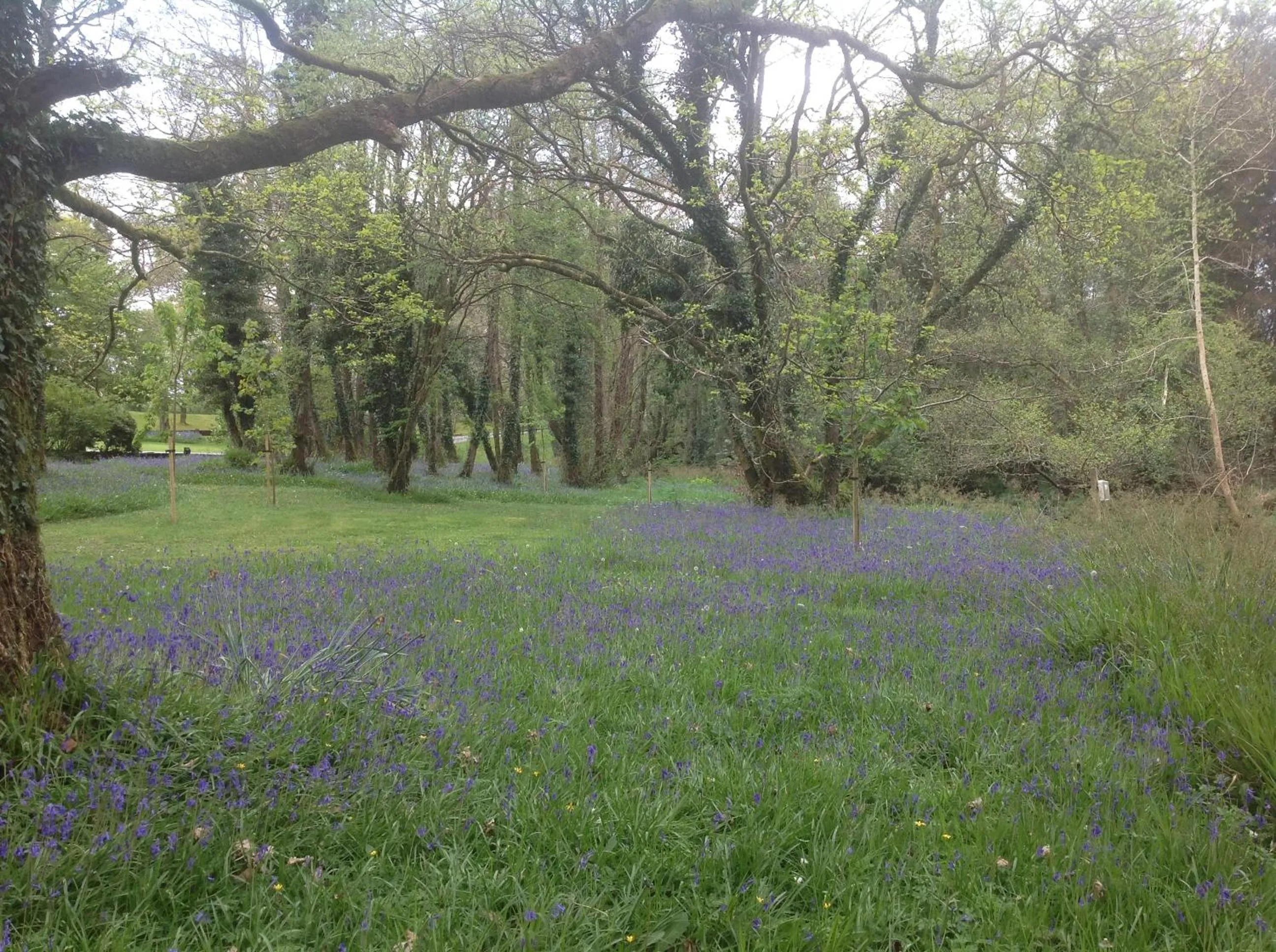 Garden in Gleann Fia Country House