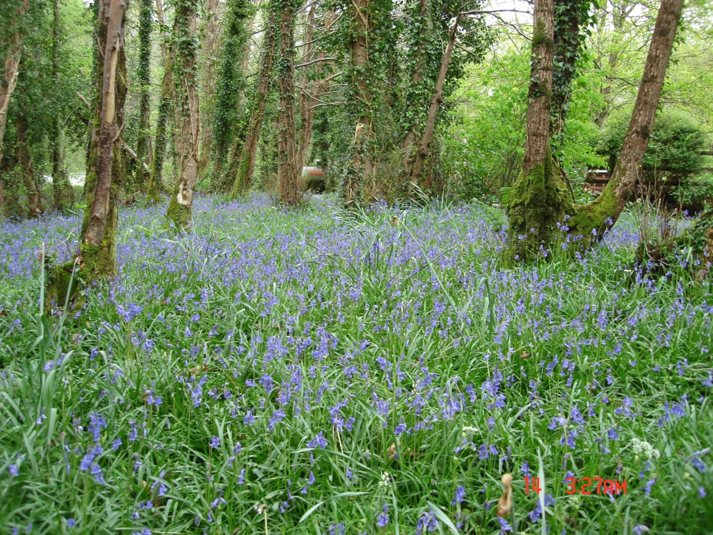 Garden in Gleann Fia Country House