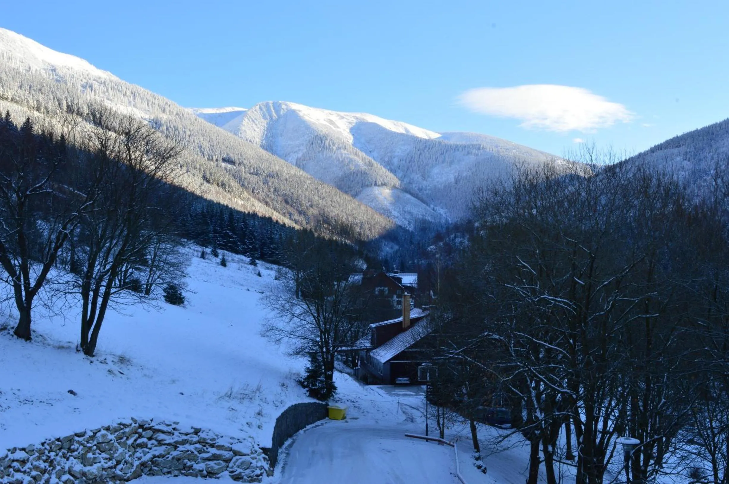 Natural landscape in Hotel Adam