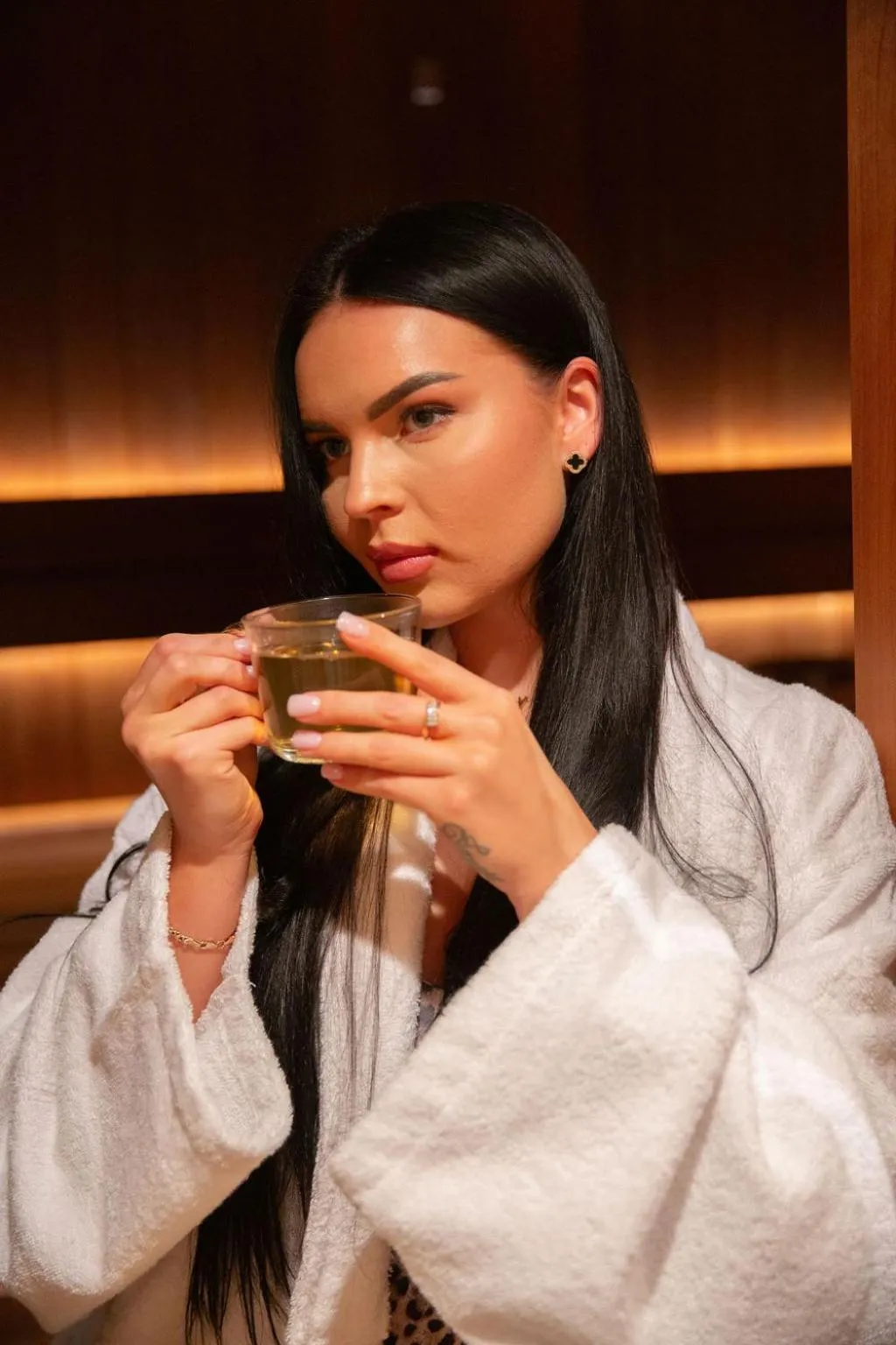 Sauna in Hotel Jelgava