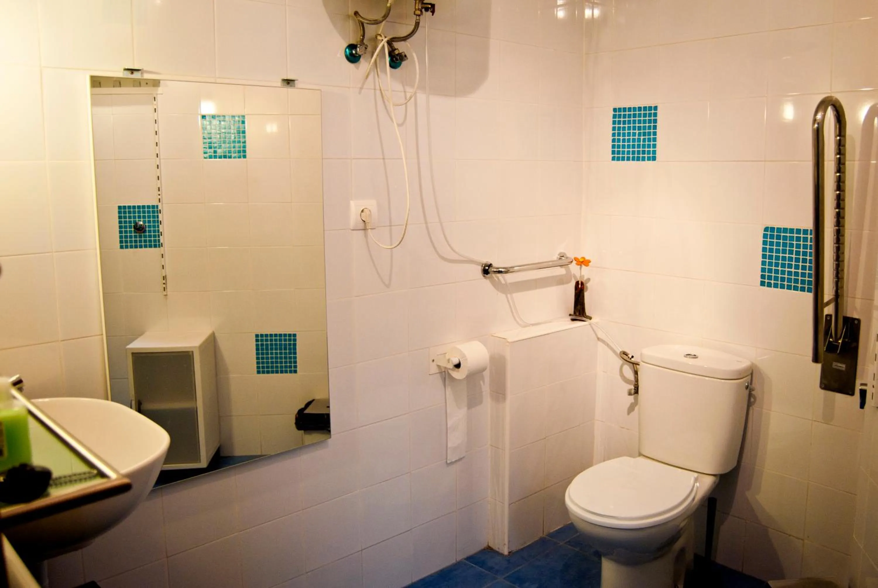 Golondrinas de la Alhambra