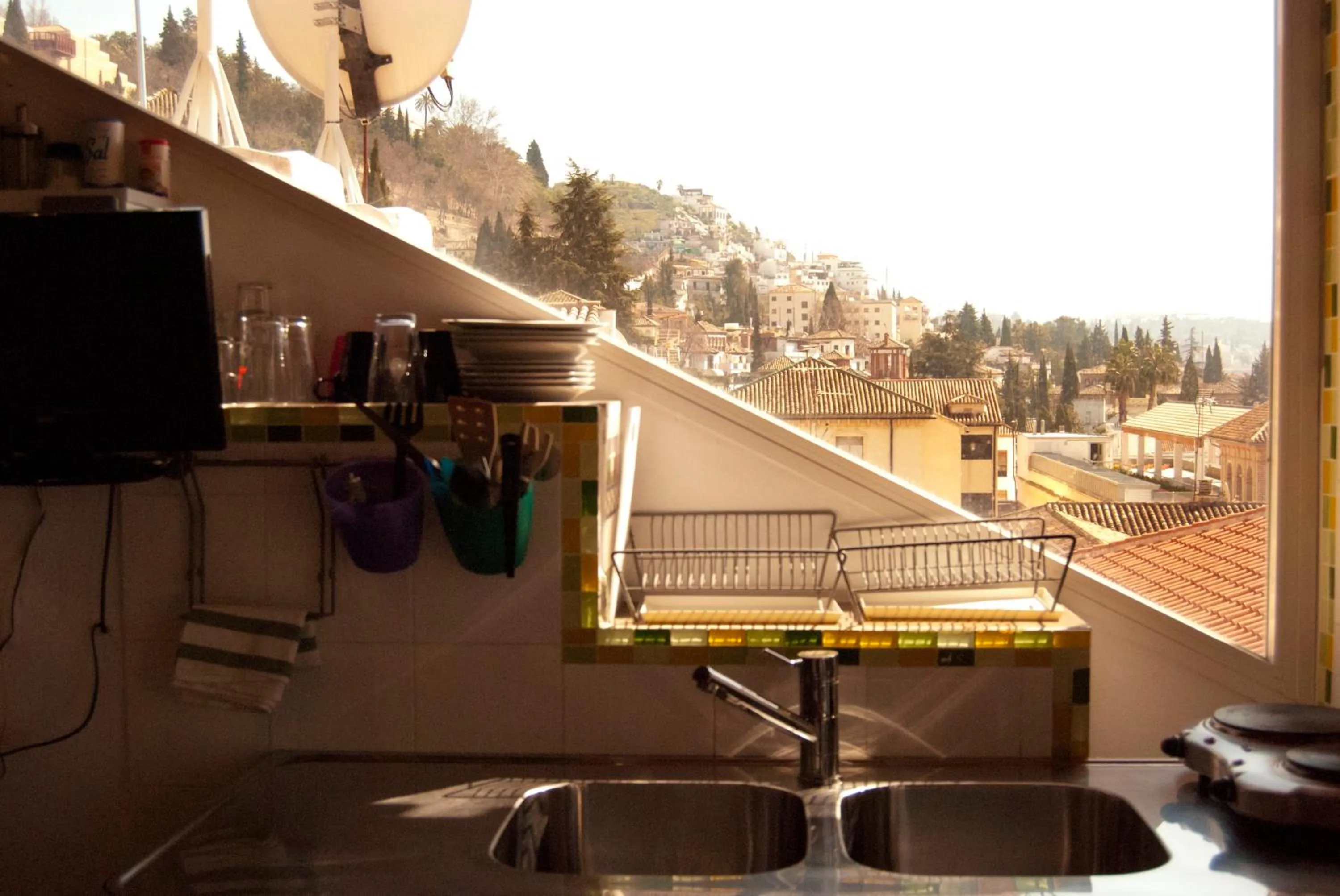 Golondrinas de la Alhambra